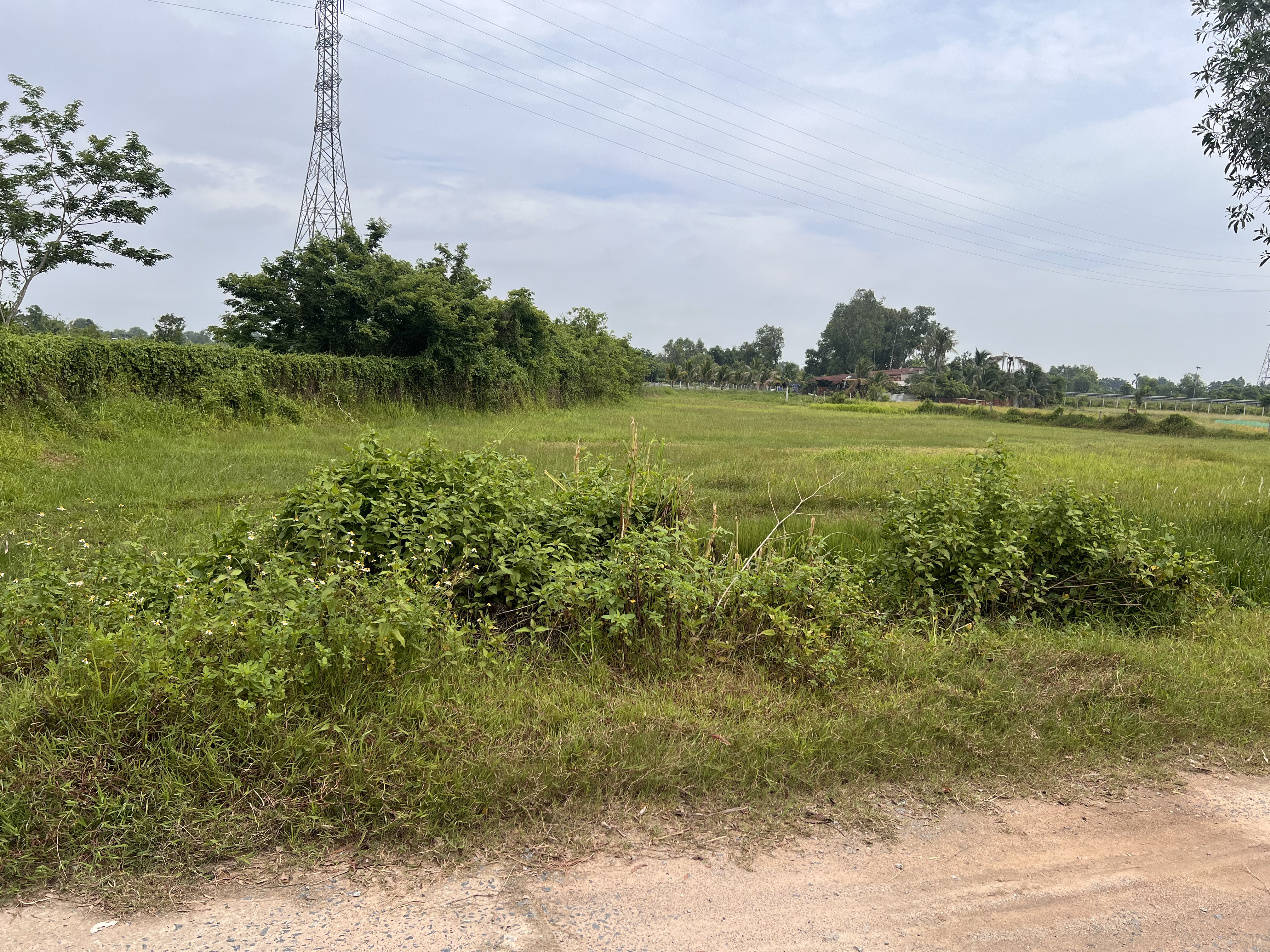 Bán 1200m2 đất vườn ngay khu vực Tân An Hội, mặt tiền đường nhựa 8m, giá 2 tỷ 4
