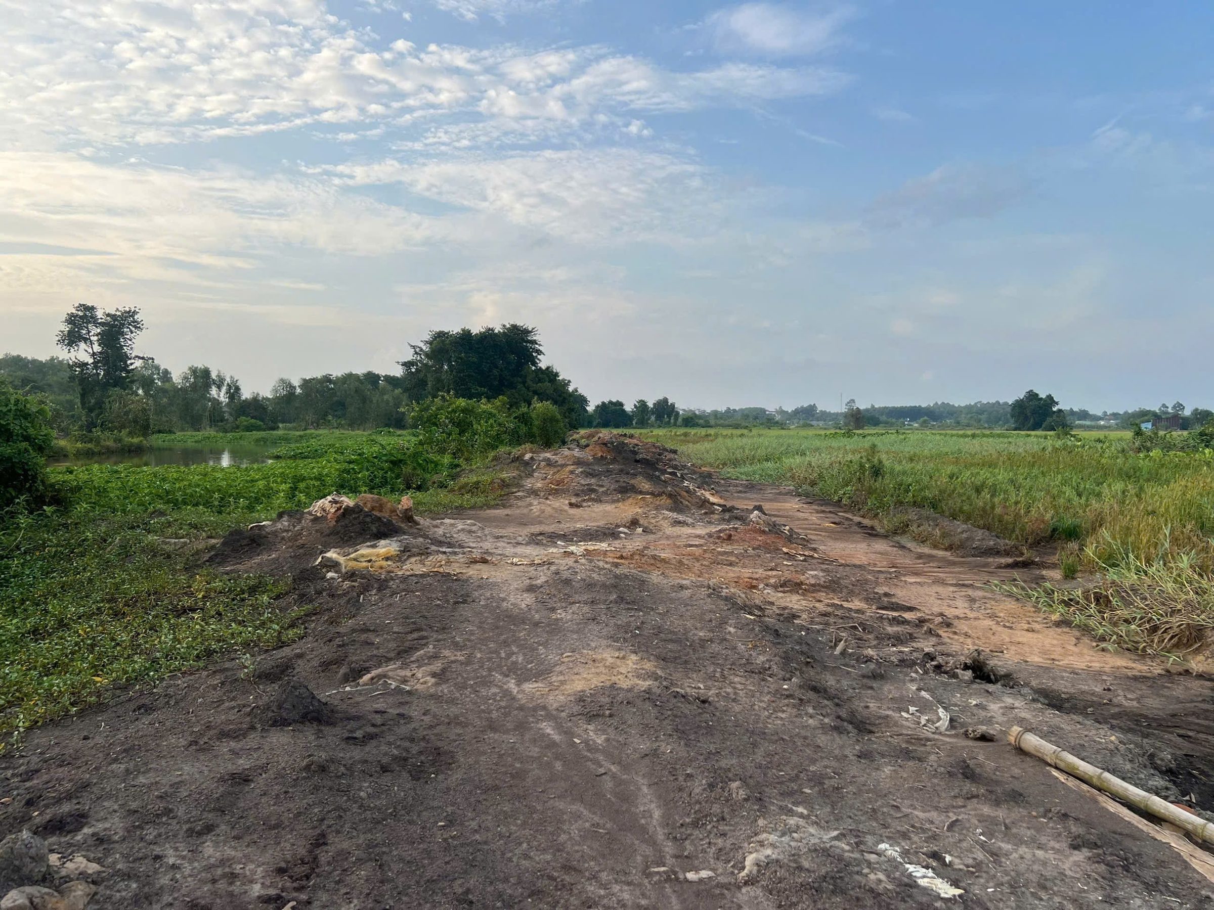 🟥Bán đất 6000m² giá 7.8 tỷ tại Đường Nguyễn Thị Nị Xã Tân Thạnh Tây (Phú Hòa Đông mới)