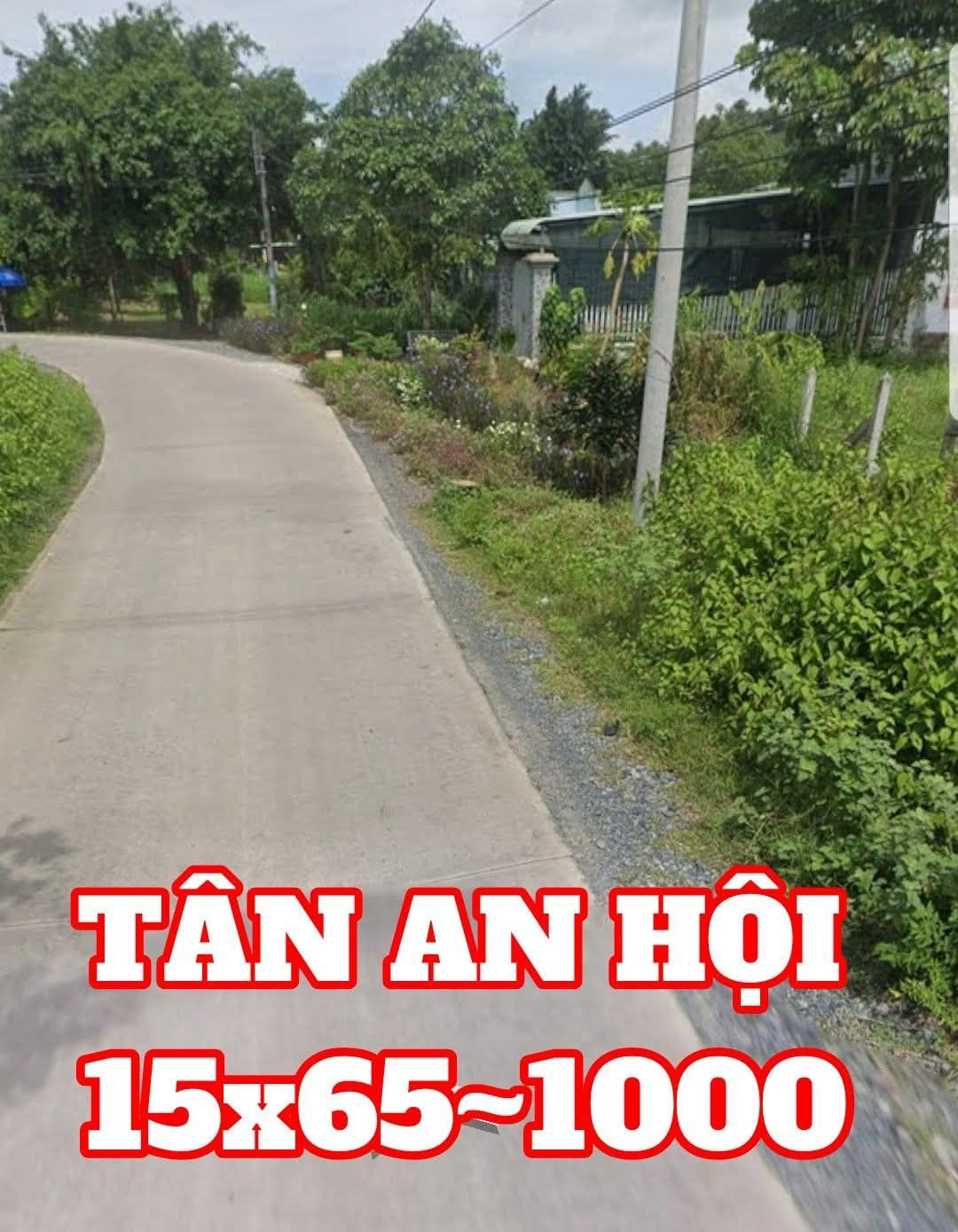 🛑 ĐẤTLỚN.COM Bán đất 1000m² mặt tiền đường thông phù hợp kho xưởng Tân An Hội Củ Chi gần trường học Nguyễn Thị Rành