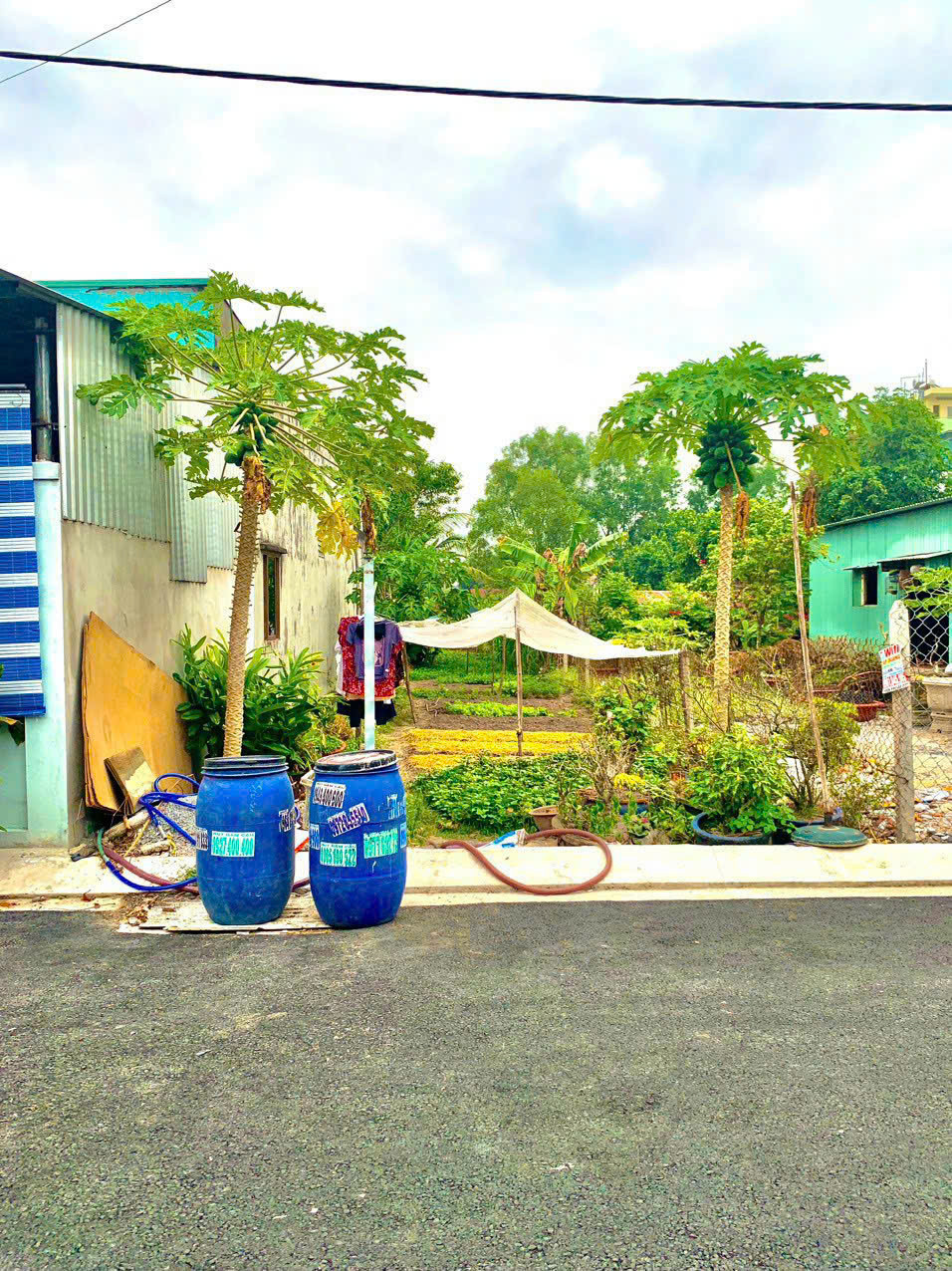 Bán đất Củ Chi, mặt tiền đường Nguyễn Thị Rư, dt 338m2, full thổ cư, Thị Trấn Củ Chi