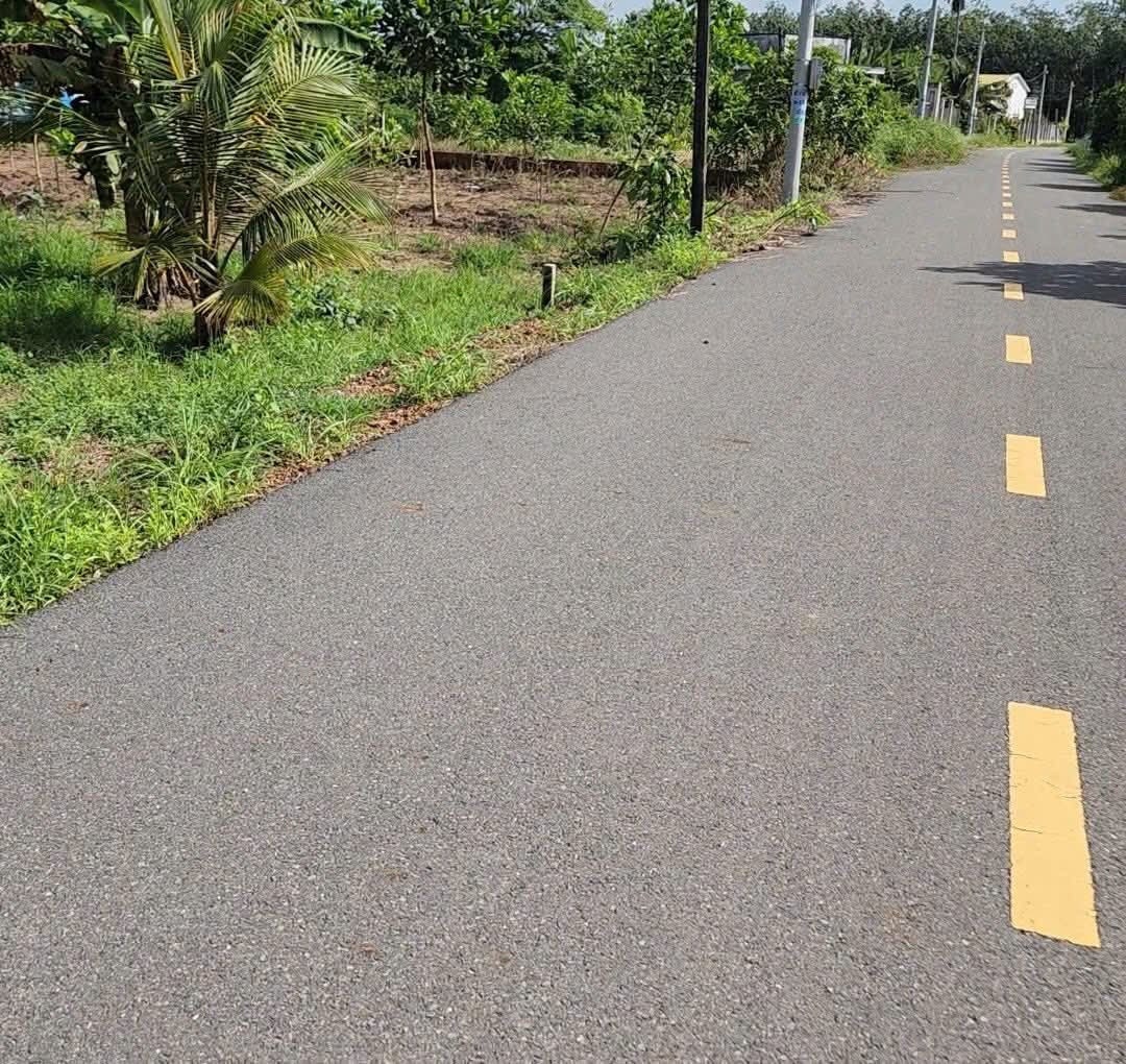 Đất TP HCM