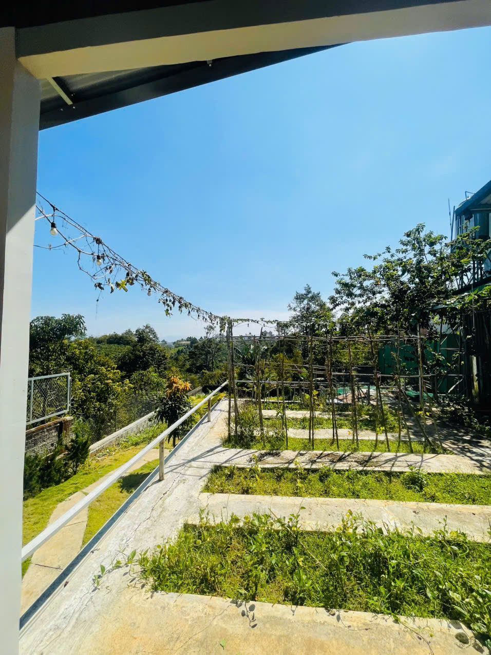 🌿 NHÀ VƯỜN TRUNG TÂM PHƯỜNG 1 – TP BẢO LỘC | GIÁ CHỐT 3 TỶ 750 – GIẢM SÂU 🌿

💰 𝗚𝗶𝗮́: 𝟯 𝘁𝘆̉ 𝟳𝟱𝟬 (𝗰𝗵𝗼̂́𝘁)
🔥 Giá cũ 5 tỷ → giảm sâu để bán nhanh

📏 𝗗𝗶𝗲̣̂𝗻 𝘁𝗶́𝗰𝗵: 𝟲𝟰𝟱𝗺² (𝟭𝟱𝗺 x 𝟰𝟱𝗺)
🏡 𝗧𝗵𝗼̂̉ 𝗰𝘂̛: 𝟮𝟱𝟬𝗺² đất ở đô thị
🧭 𝗛𝘂̛𝗼̛́𝗻𝗴: Tây Bắc