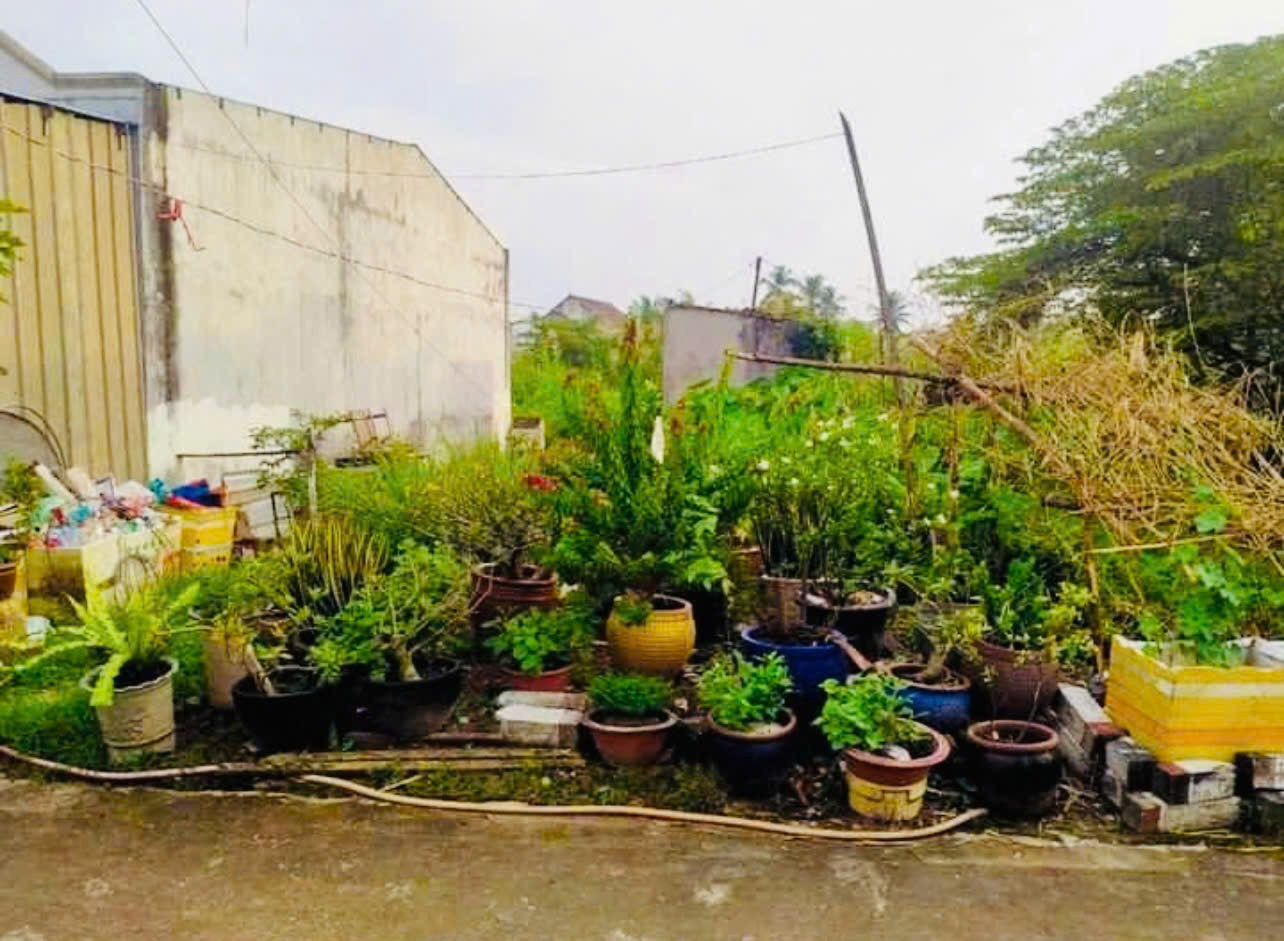 Em cần bán gấp đất ở đường Nguyễn Tri Phương, phường Chánh Nghĩa, TP Thủ Dầu Một