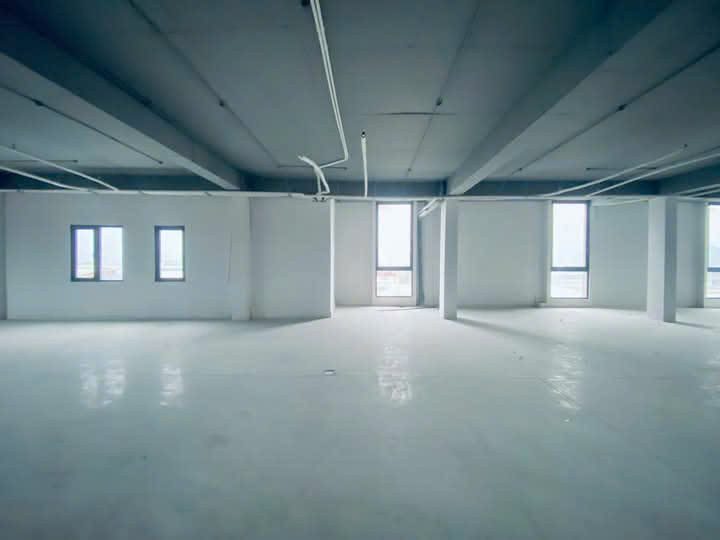 VP ĐƯỜNG NGUYỄN TRI PHƯƠNG - diện tích từ 200m2