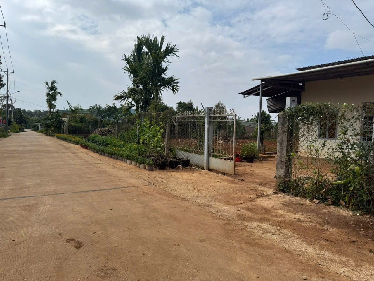 🌎 Đất hẻm Nguyễn Tuân