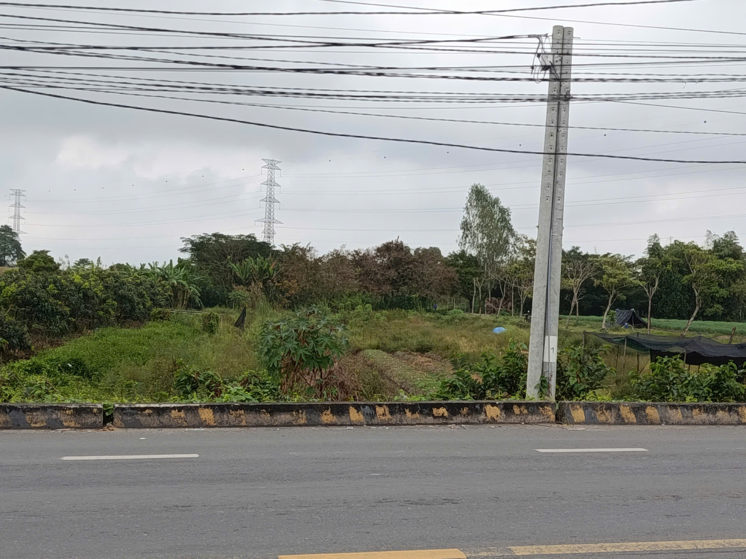 Bán đất 3647.84m² ngang 42.75m giá 18 tỷ Phường Phước Thới