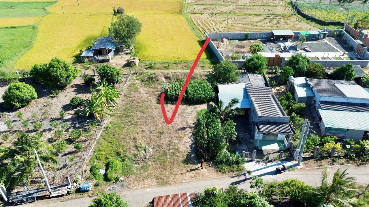 Bán lỗ lô 320m2 View Cánh đồng lúa chill như Đà Lạt chỉ 650tr, ngay trung tâm hành chính Đất Đỏ - TP.HCM