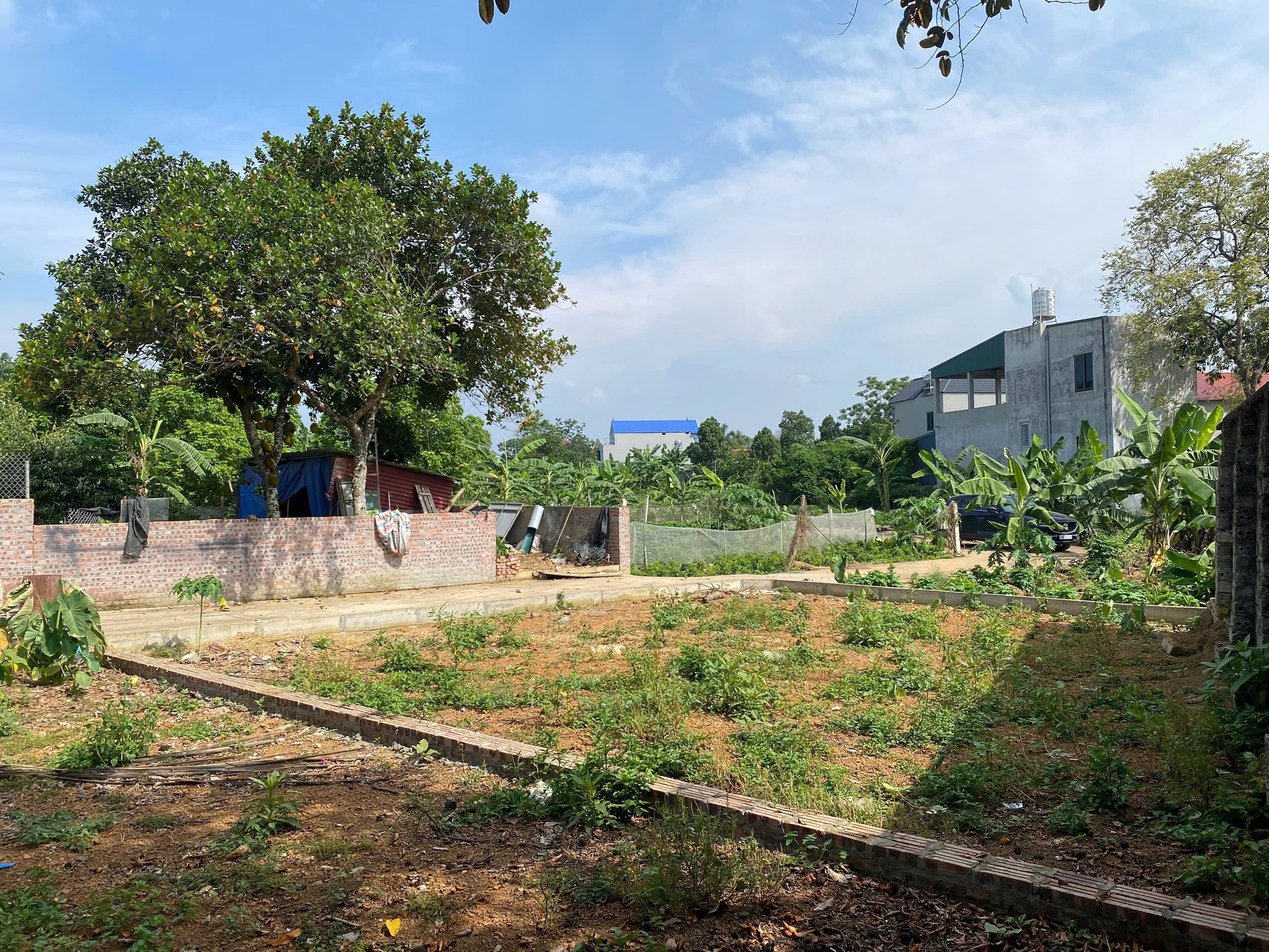 CHÚ EM CÓ ĐẤT BÁN 100M2 THỔ CƯ MT 8M ÔTÔ 4M HẠ BẰNG GẦN HÒA LẠC GIÁ 3X HH 30TR