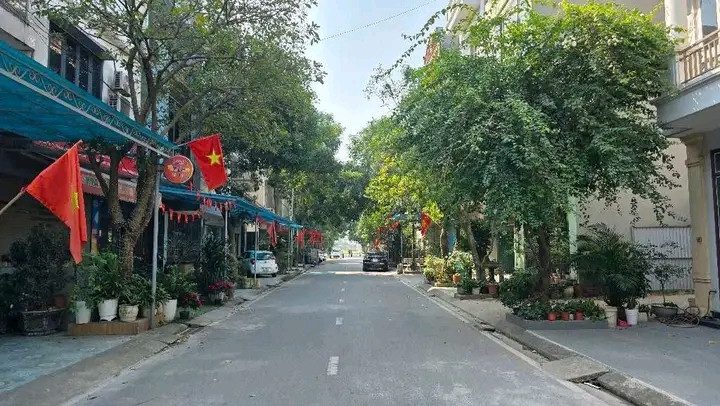 Đất 113 như quỳnh vỉa hè ô tô tránh kinh doanh đỉnh