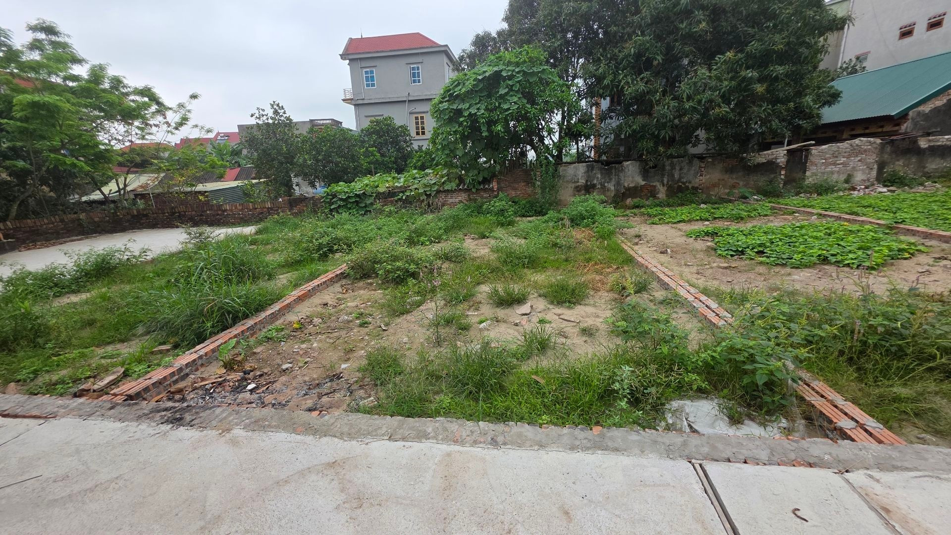 Bán đất Tân Quang - Văn Lâm - Hưng Yên,