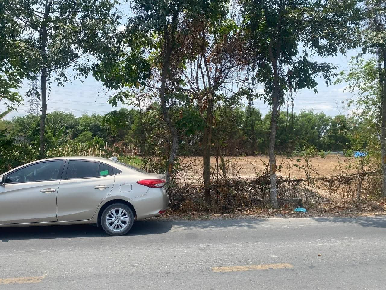 Bán đất mặt tiền buôn bán kinh doanh đường Bùi Thị Điệt xã Nhuận Đức Củ Chi TPHCM, DT: 25x40m.