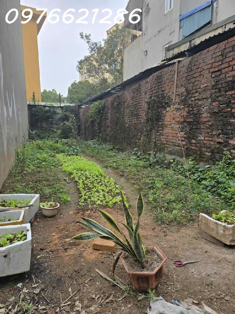 BÁN ĐẤT Ô CÁCH – LONG BIÊN – 63M² – HAI THOÁNG – NGÕ THẲNG – GIÁ 7,7X TỶ
🔥 HÀNG CỰC HIẾM – CƠ HỘI CHO NHÀ ĐẦU TƯ F0