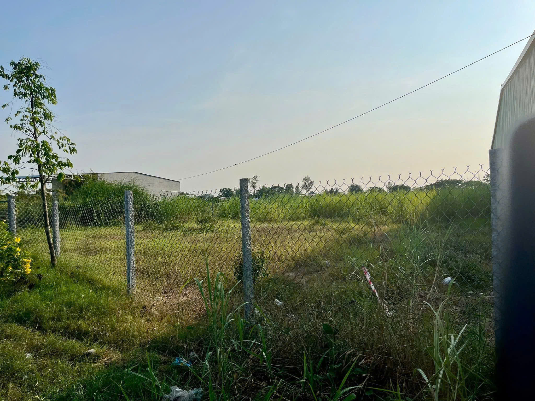 Bán đất 1484.3m² ngang 21,4m giá 4 tỷ Phường Mỹ Ngãi