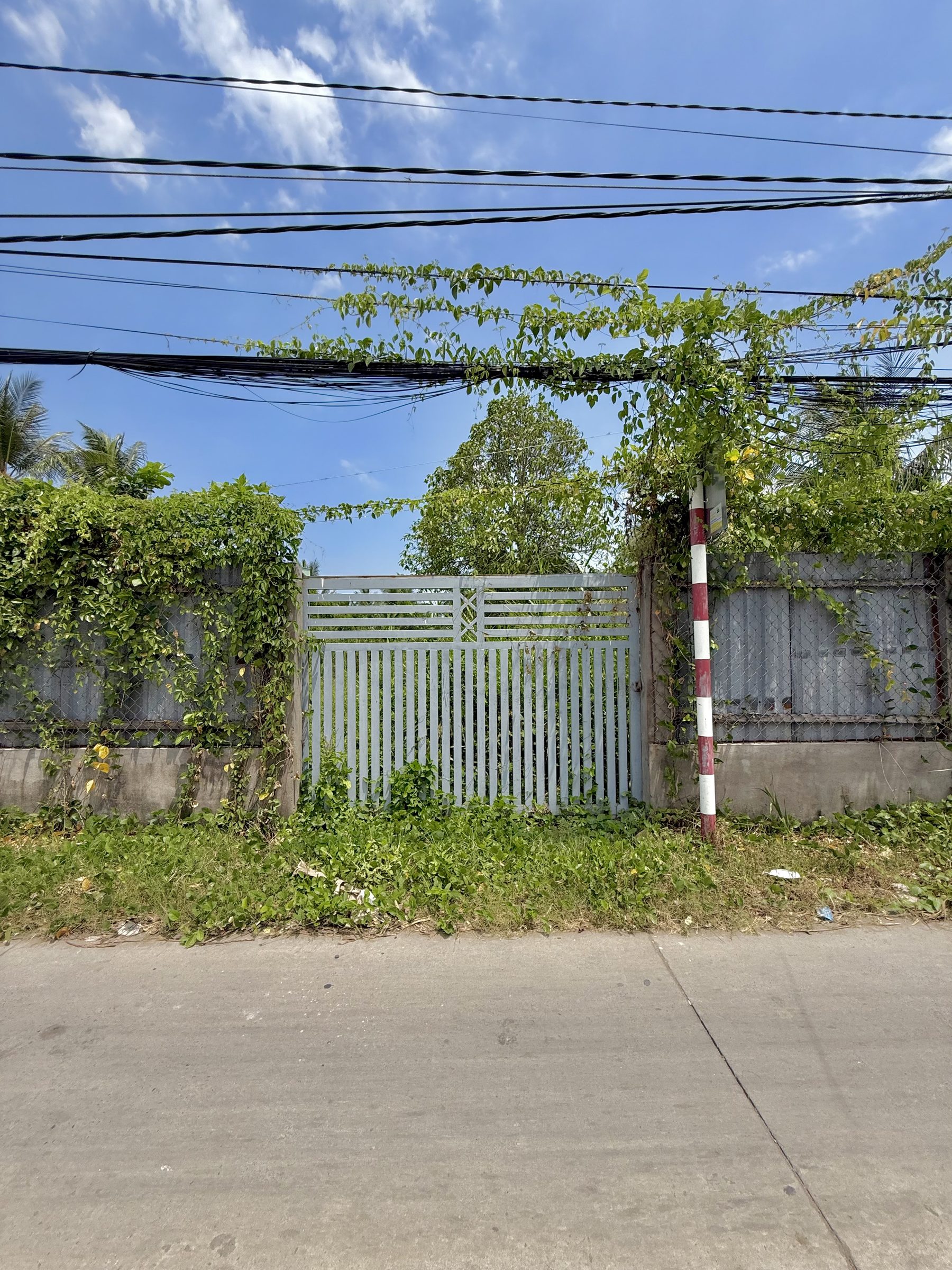 🌿 1100m² ĐẤT TRUNG AN – FULL THỔ CƯ – DIỆN TÍCH LỚN HIẾM 🌿