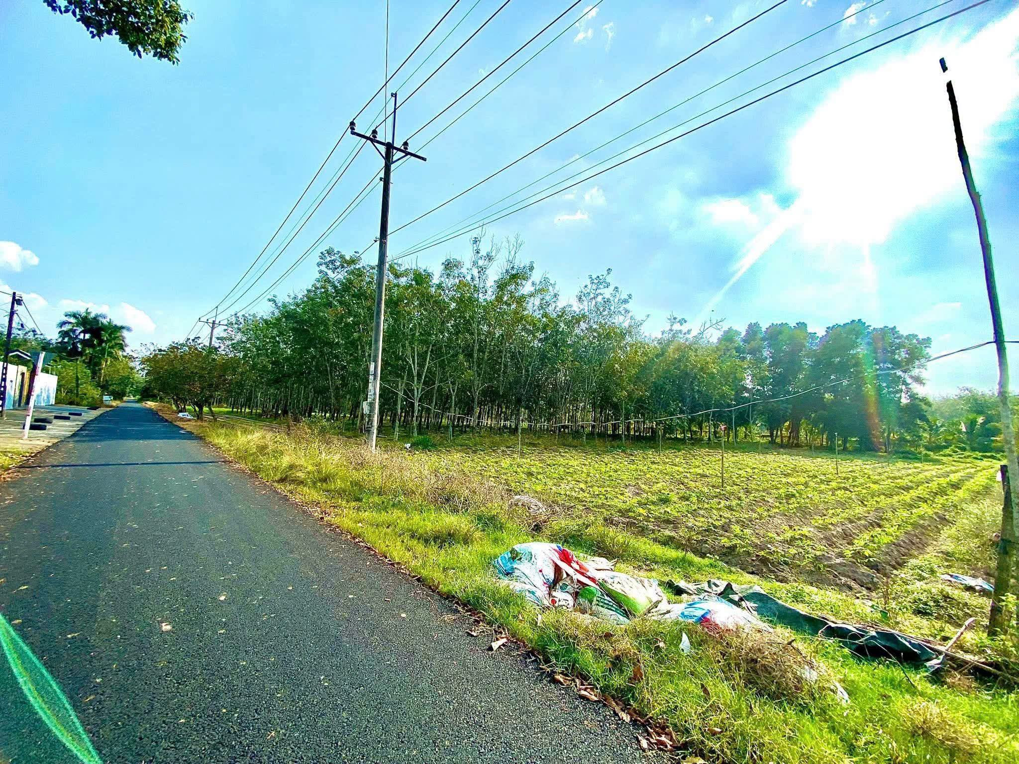 Đất mặt tiền Phạm Thị Quới 1/ngắn đường Phú Thuận xã An Nhơn Tây TPHCM, DT: 20x52m.