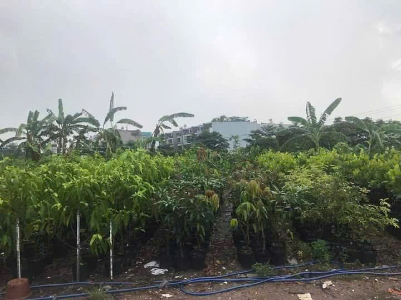 ⭐️ 0.9Ha Đất đầu tư GD View sông – Phan Huy Ích Gò Vấp