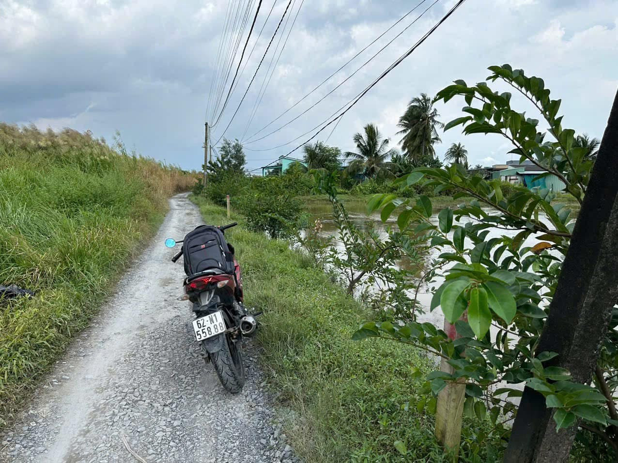 ⭐️ 1.045m² lúa(có 203m² thổ) - kp9 tt Bến Lức