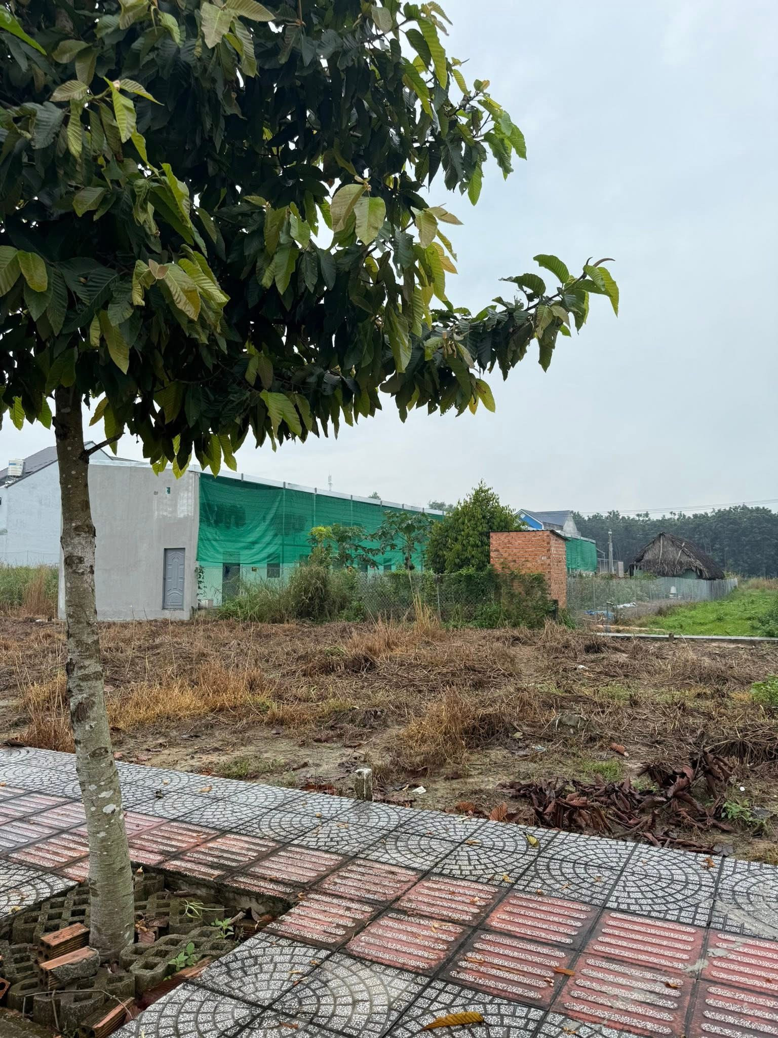 🔥 BÁN GẤP LÔ ĐẤT NỀN MẶT TIỀN PHAN VĂN MÃNG – TT. BẾN LỨC, LONG AN
📌 Diện tích: 233m²
💰 Giá chỉ: 1 tỷ 670 triệu