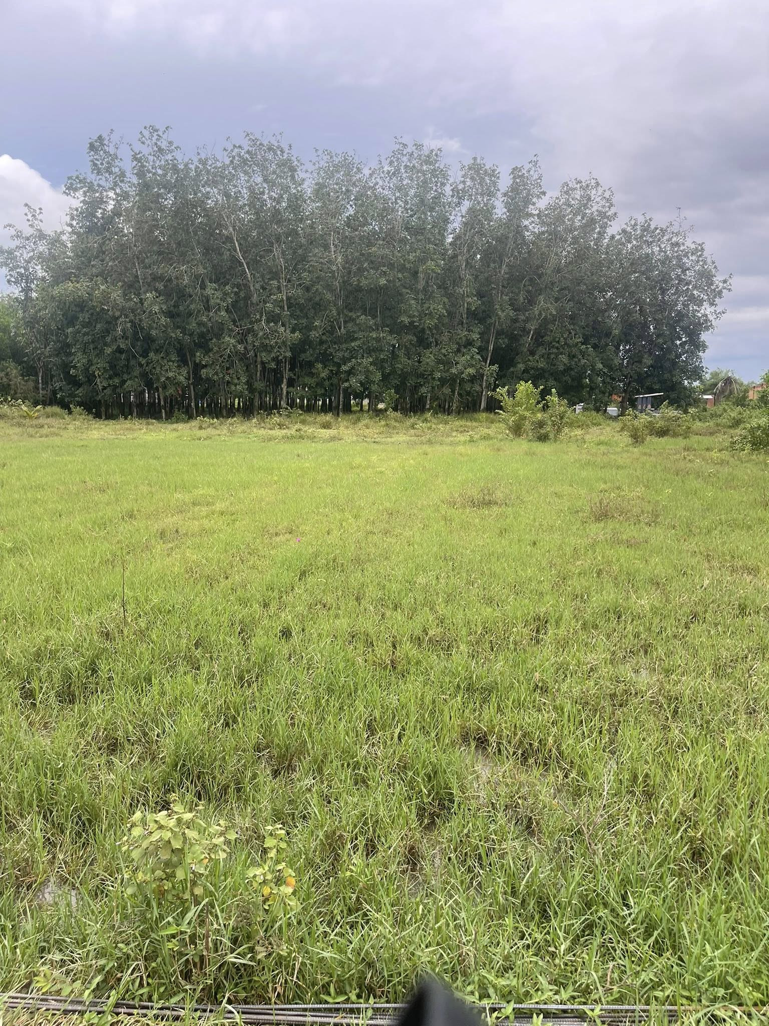 Duy nhất 1 lô ngay KP Xóm Mới, Gò Dầu, Tây Ninh giá 435Tr với 175m2 full thổ cư