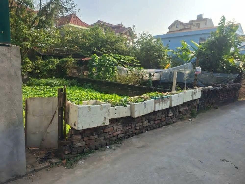 Bán đất 83,7mm² có sẵn 77,4m² thổ cư ngang 4,1m giá 6.25 tỷ tại Đường Phù Đổng Xã Phù Đổng