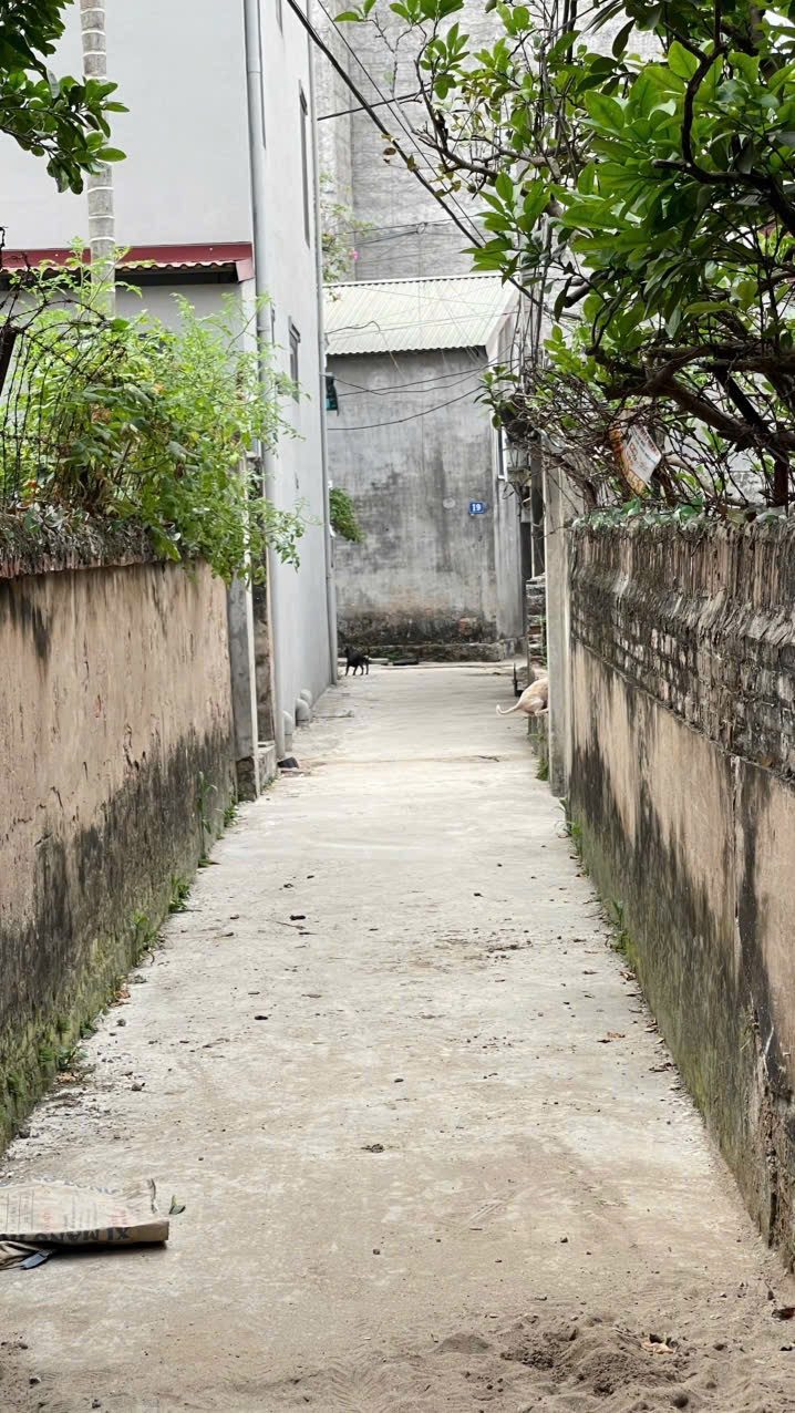 Nhà cấp 4 thông thoáng