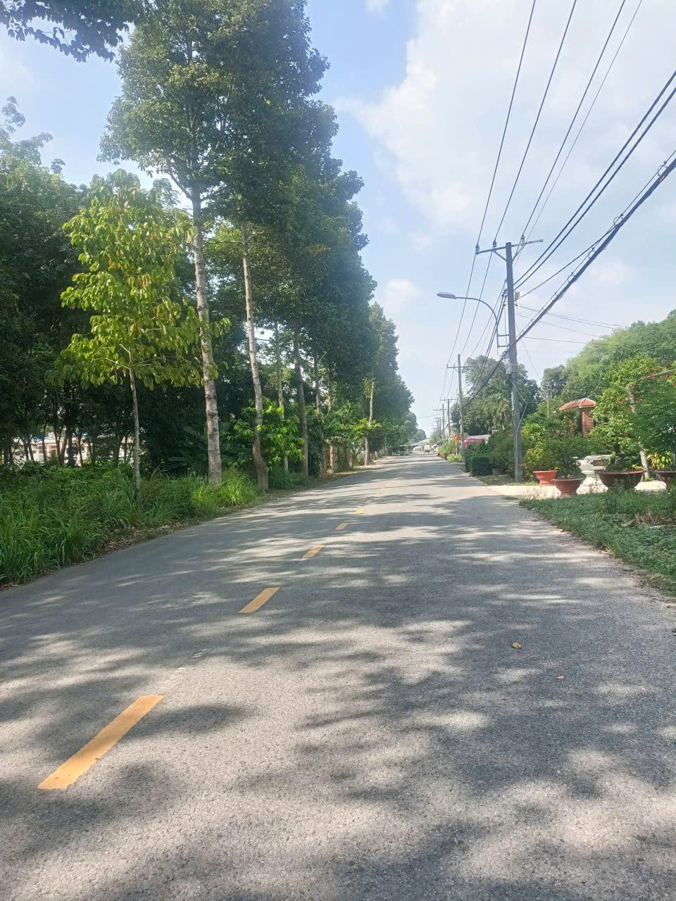 Bán xưởng + đất - An Nhơn Tây, Củ Chi - Giá tốt - Đường xe công - Khu dân cư đông đúc
