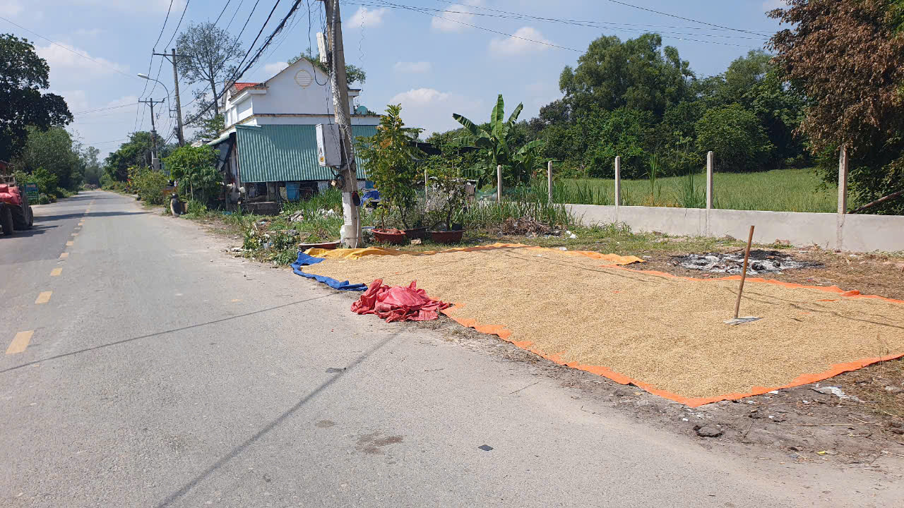 (S470) Đất đường Phú Thuận , xã Trung Lập Thượng, DT 298m2, thổ 92m2, chỉ 1 tỷ 700