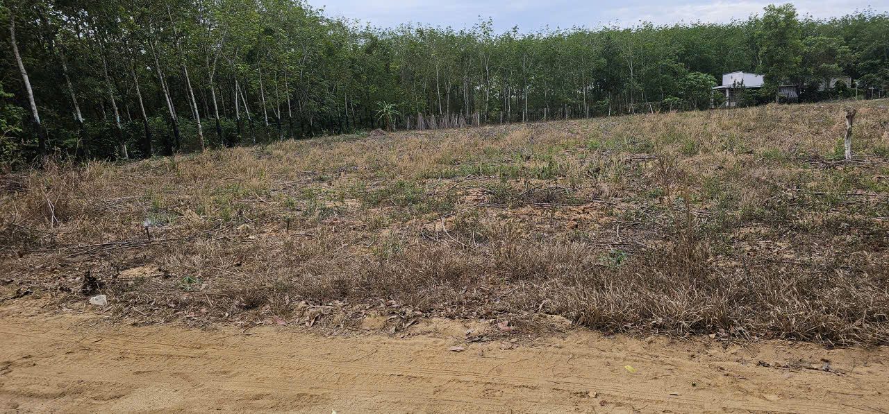 Đất chính chủ- 1930 m2, có 300 m2 thổ cư. hai mặt tiền, giá 3.9 tỷ