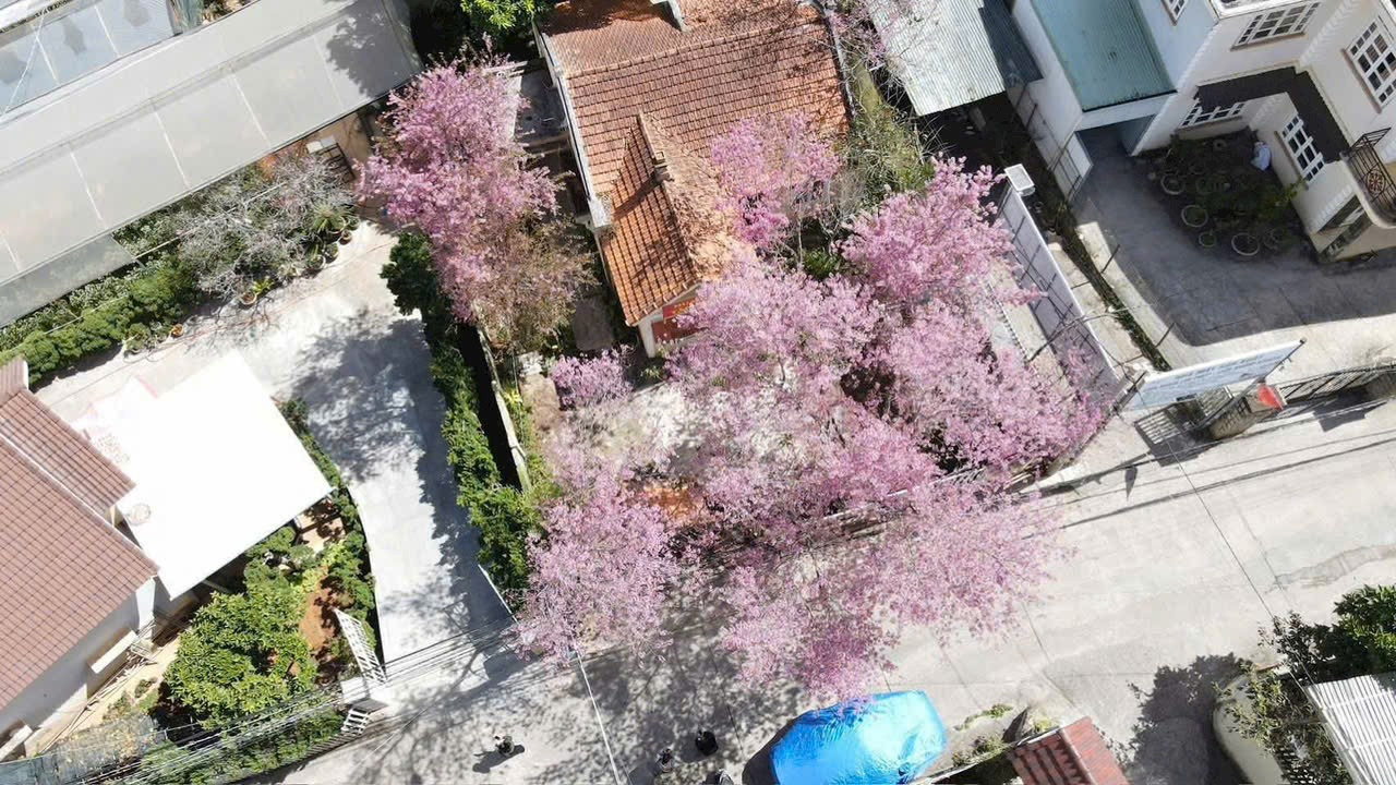 Lô đất xây dựng Hùng Vương- Đà Lạt 361m- Giá 16 tỷ ngay trung tâm tp