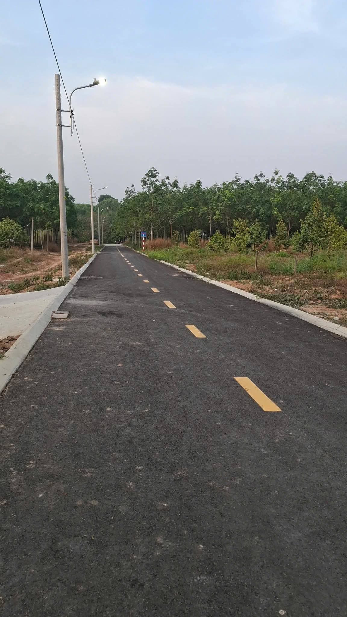 Bán đất gần Khu công nghiệp Minh Hưng 3, Giá 250t, diện tích 225m