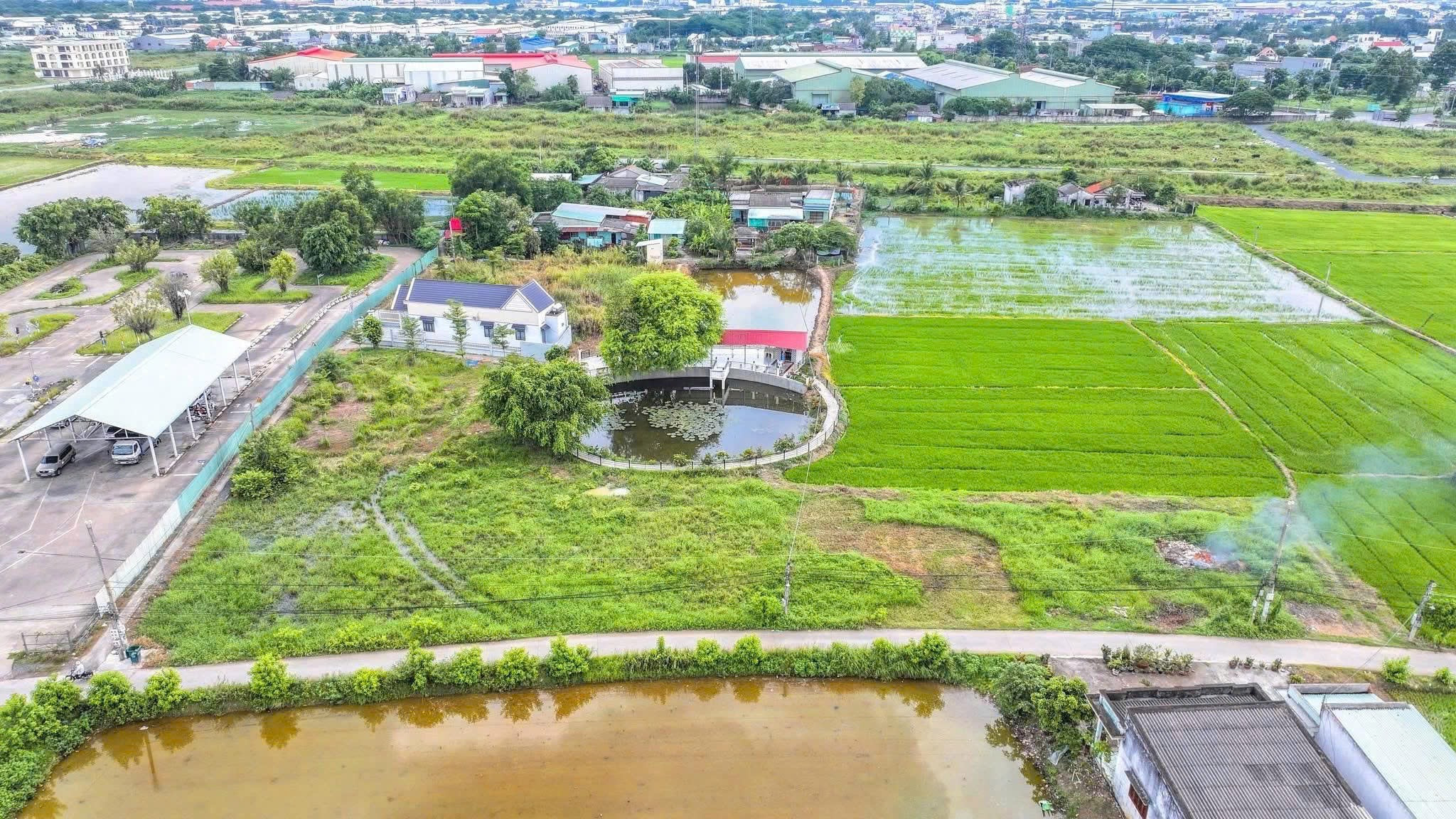 Bán đất nến long an