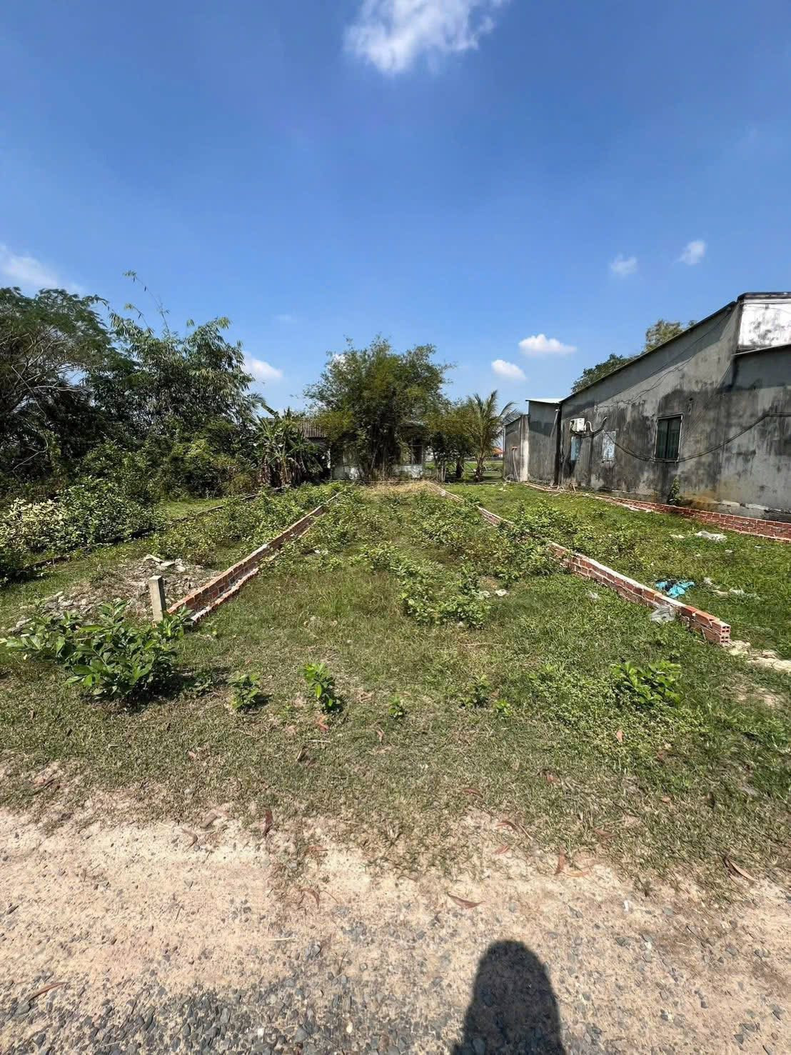 🔥 BÁN ĐẤT NỀN MẶT TIỀN QUỐC LỘ 1A – THỊ TRẤN BẾN LỨC 🔥
📐 Diện tích: 4,5 x 25m
💰 Giá bán: 870 triệu (thương lượng)