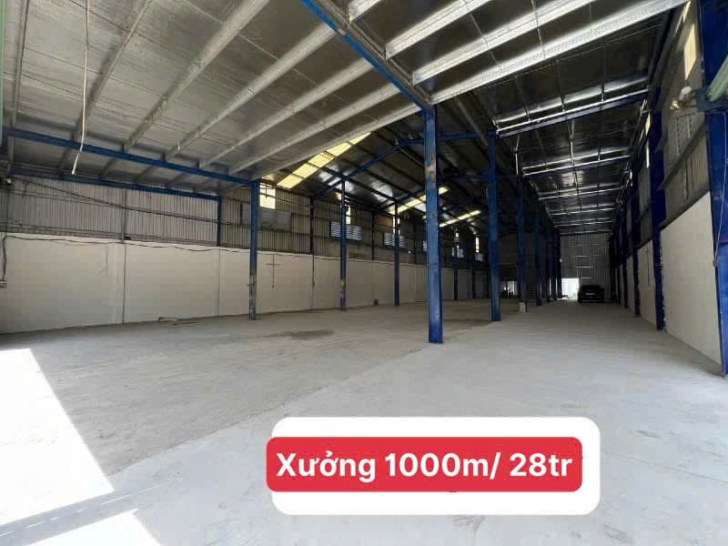 Cho thuê kho xưởng 1000m2, mặt tiền Quốc lộ N2, Hoà Khánh Tây, Đức Hoà, Long An, giá 28tr