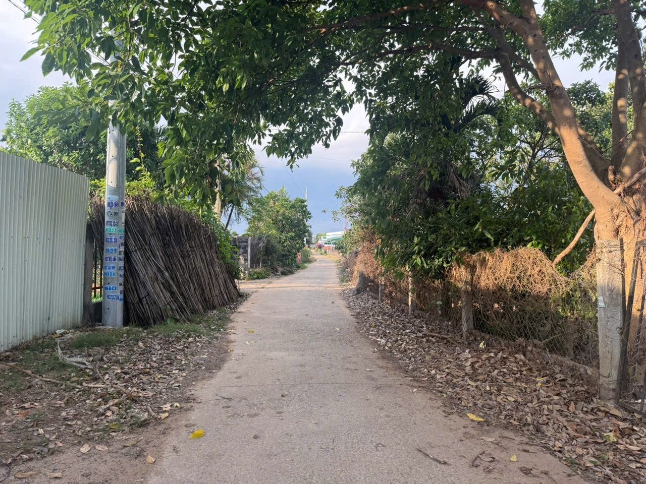 Ngã ba Hoa mặt trời -xã Đức Trọng - 5134m2