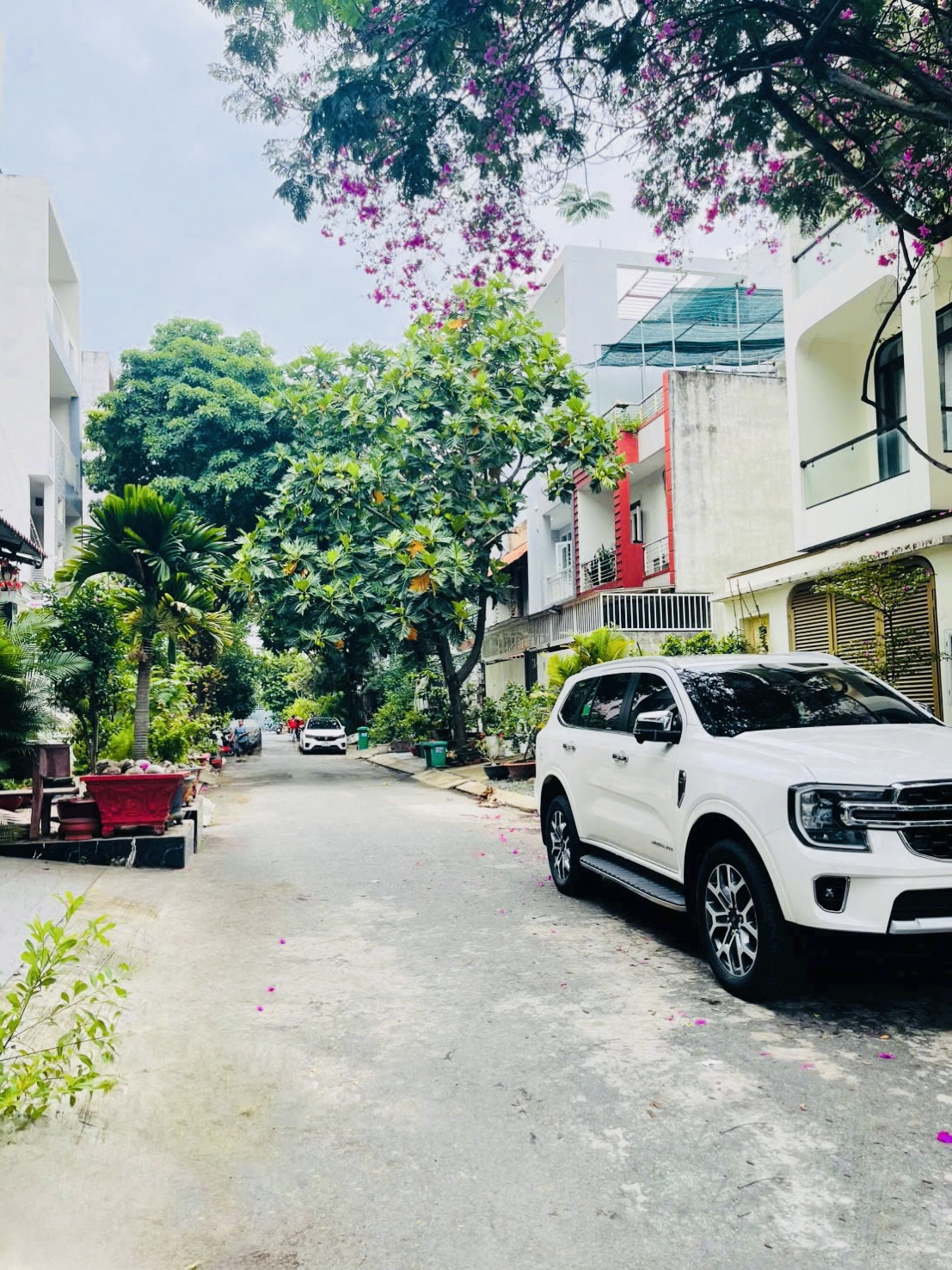 Bán Nhà riêng 95m² thổ cư 95m² giá 12.9 tỷ tại Đường Quận 7 Phường Tân Hưng Quận 7 TP. Hồ Chí Minh
