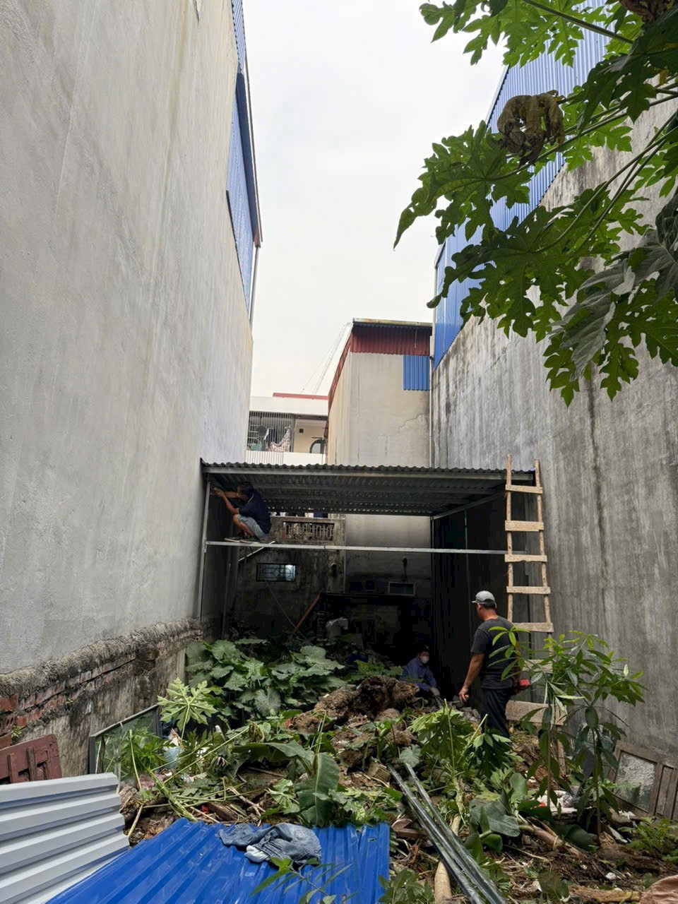 🔥 BÁN LÔ ĐẤT HIẾM QUANG ĐÀM, SỞ DẦU, HỒNG BÀNG, HẢI PHÒNG 🔥 58m² Giá chỉ: 2,6 tỷ