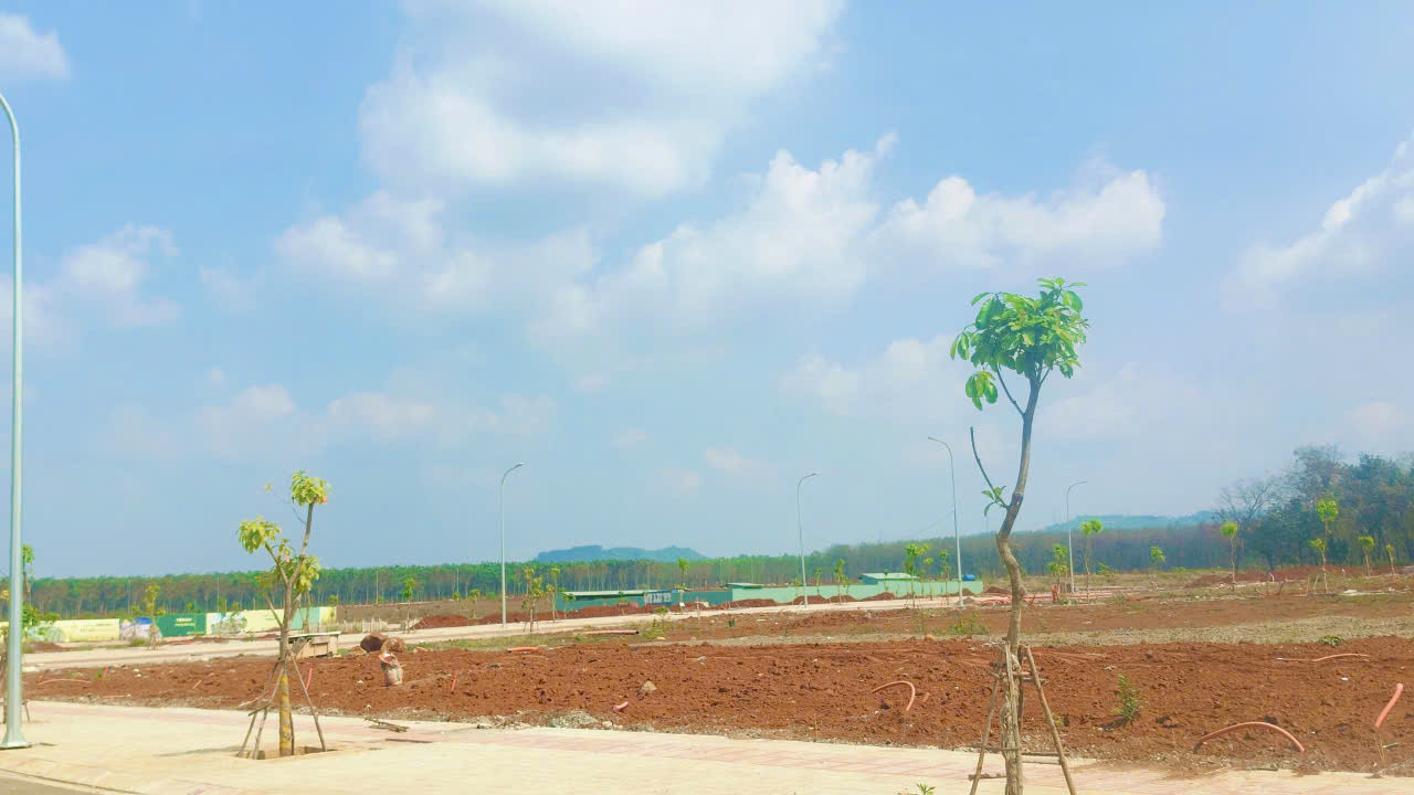 🔥 THE LINK CITY DẦU GIÂY – TÂM ĐIỂM KẾT NỐI, SINH LỜI VƯỢT TRỘI 🔥