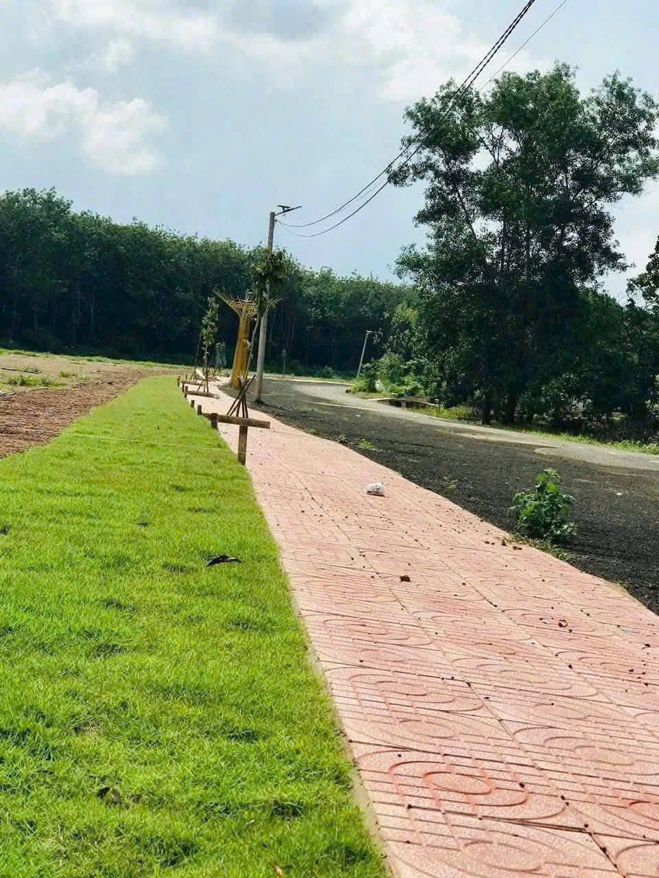 350m2 (100m2TC) Cách QL 14 vài trăm mét - đường nhựa, kề KCN & 5 KDC, ngay trường học