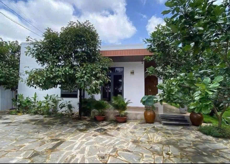 Mua đất tặng nhà vườn 2000m2 giá 530 triệu sổ hồng riêng Đồng Nai mới