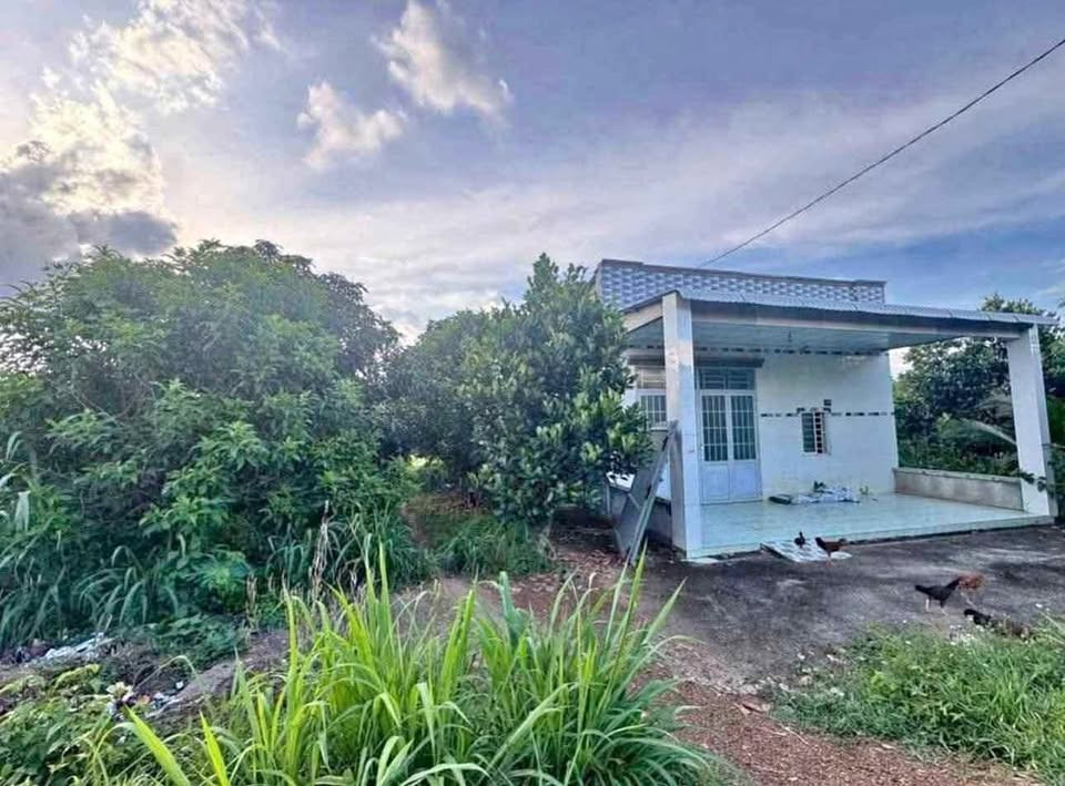 Chủ cần bán lô đất 3400m2 ngang 50 thổ cư 300m2 có nhà sẵn trên đất