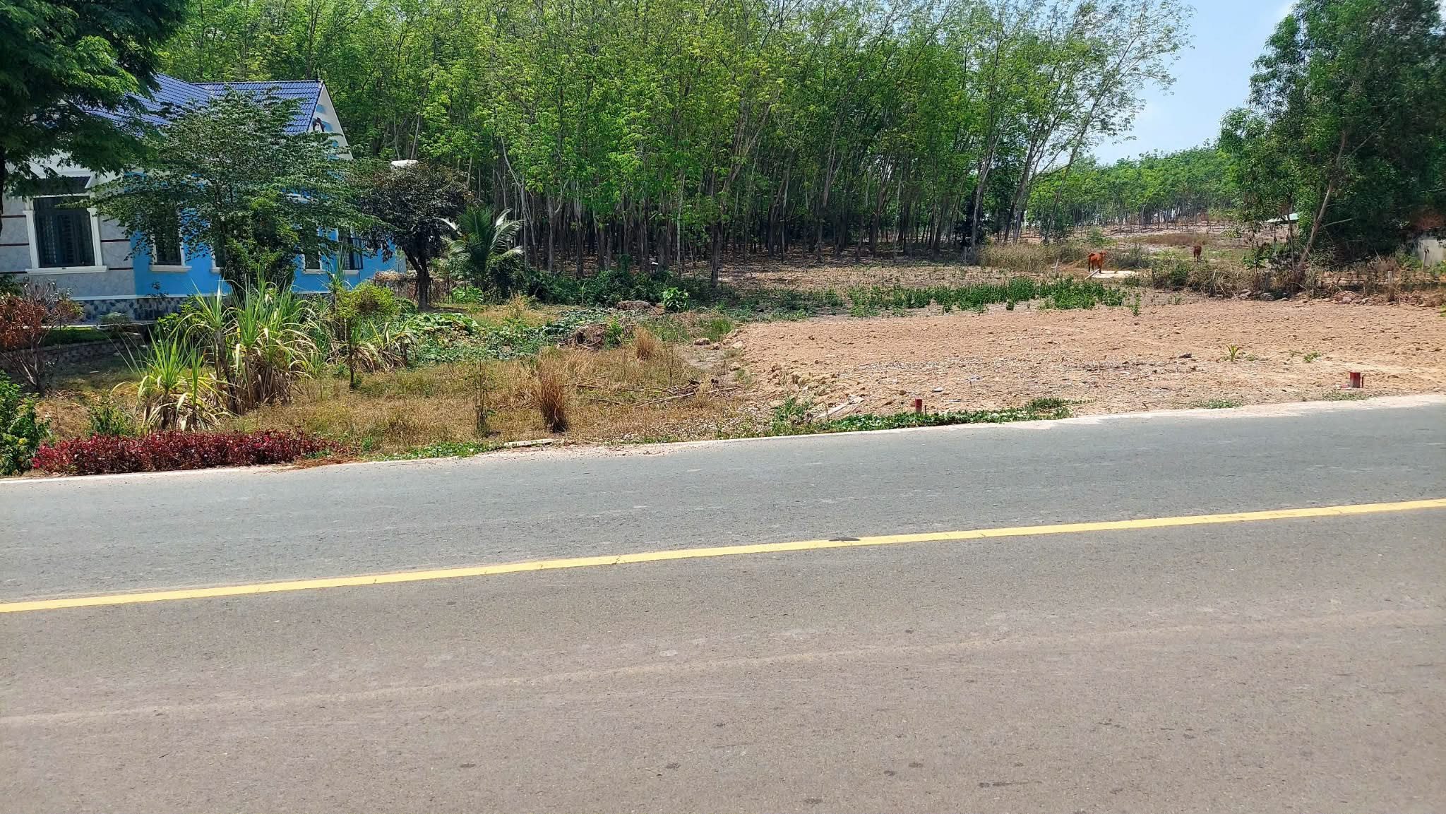 Thật 100%. đất mặt tiền đường nhựa liên huyện, cách quốc lộ 14 chỉ 80m, sổ hồng