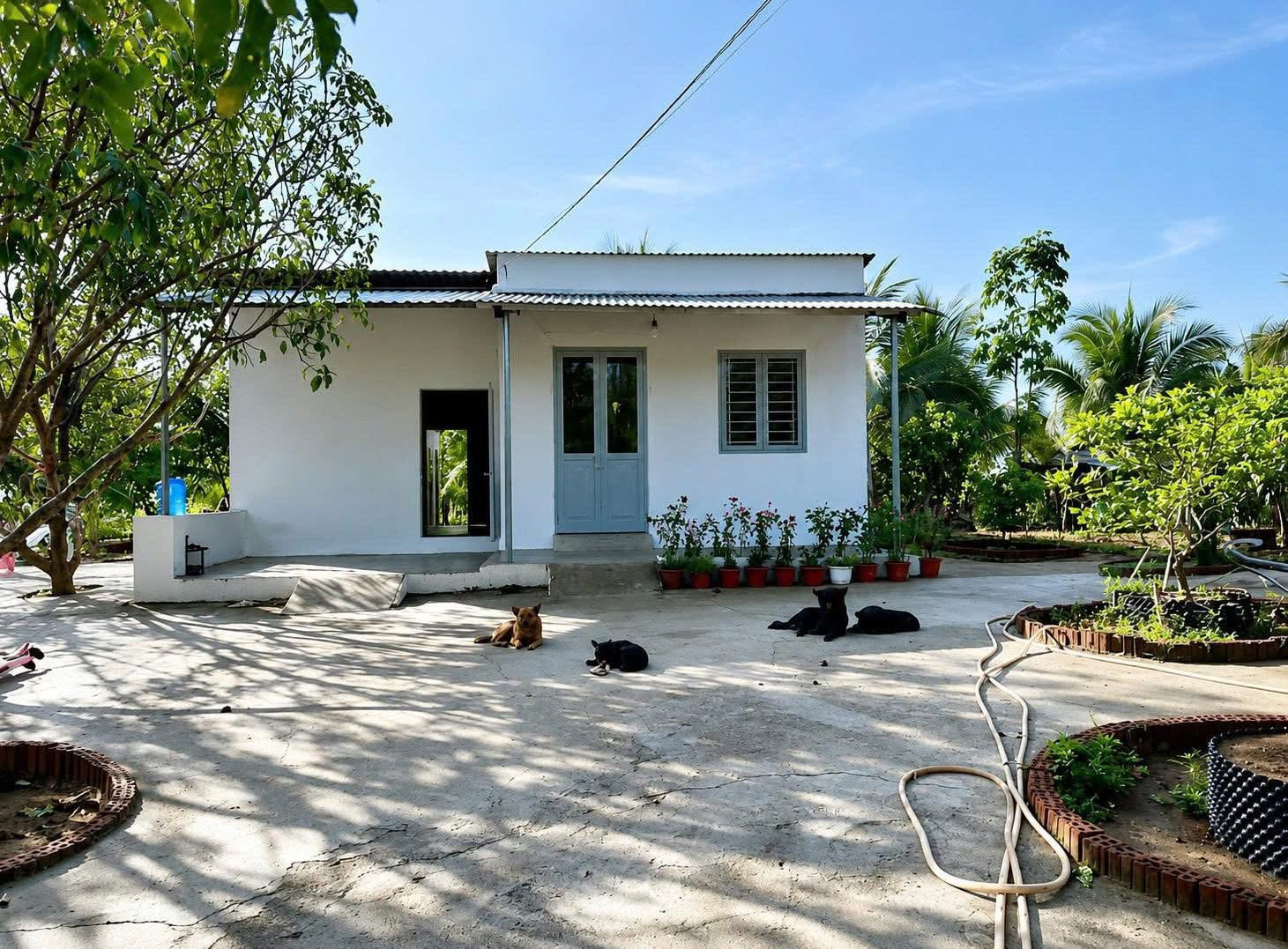 Chuyện lạ khó tin: lô đất vườn - Nhà cấp 4 Chơn Thành - 600 Triệu, sổ hồng sẵn