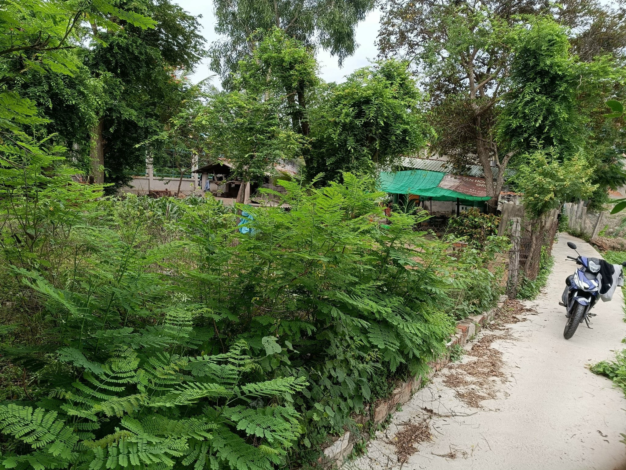 Chính chủ, full thổ cư khu dân cư chợ phú long hiện hữu, đất hẻm cách 30m là chợ Phú Long, 60m là cây xăng Hàm Nhơn, 100m là QL1A, sau lưng trường tiểu học. Chính chủ liên hệ 0969608295