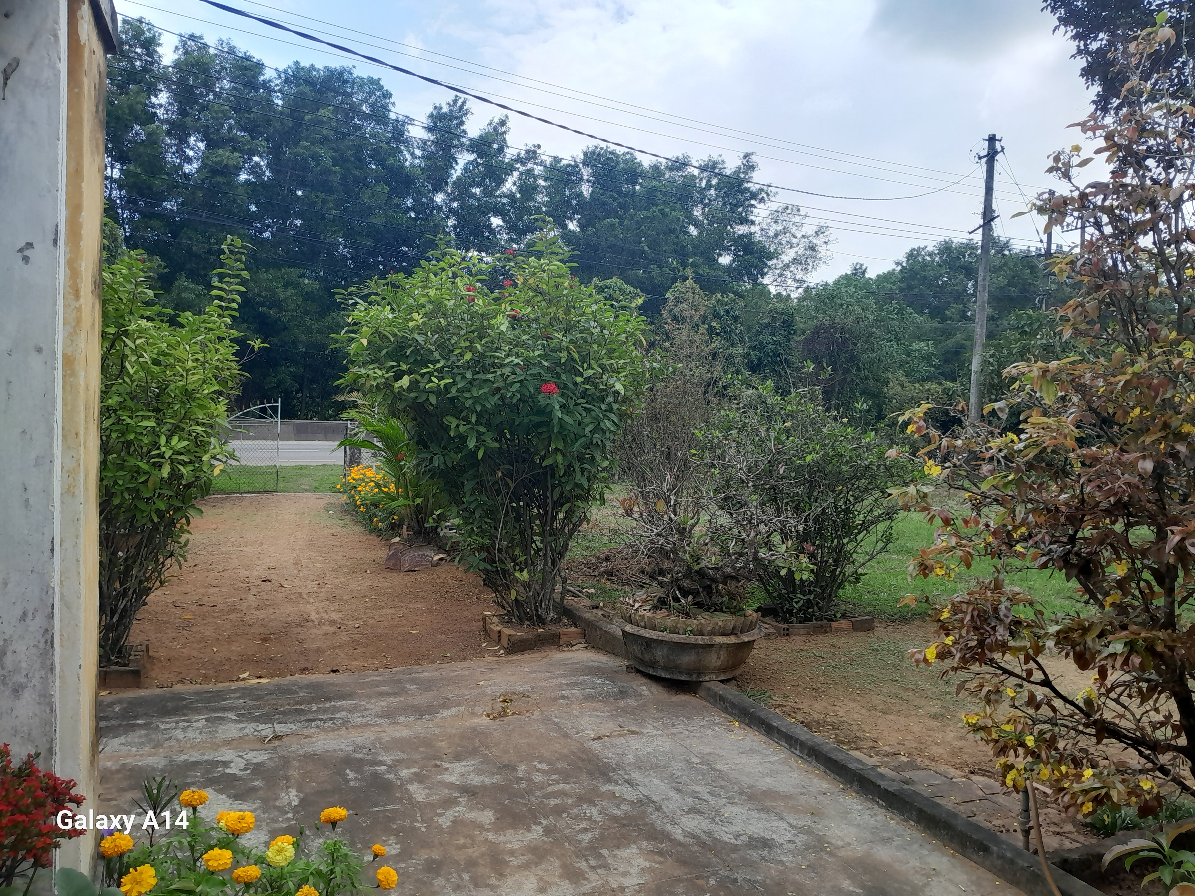 Bán Đất 3000m² thổ cư 200m² giá 10 tỷ tại Đường Quốc lộ 1A Xã Mỹ Trinh Huyện Phù Mỹ Bình Định