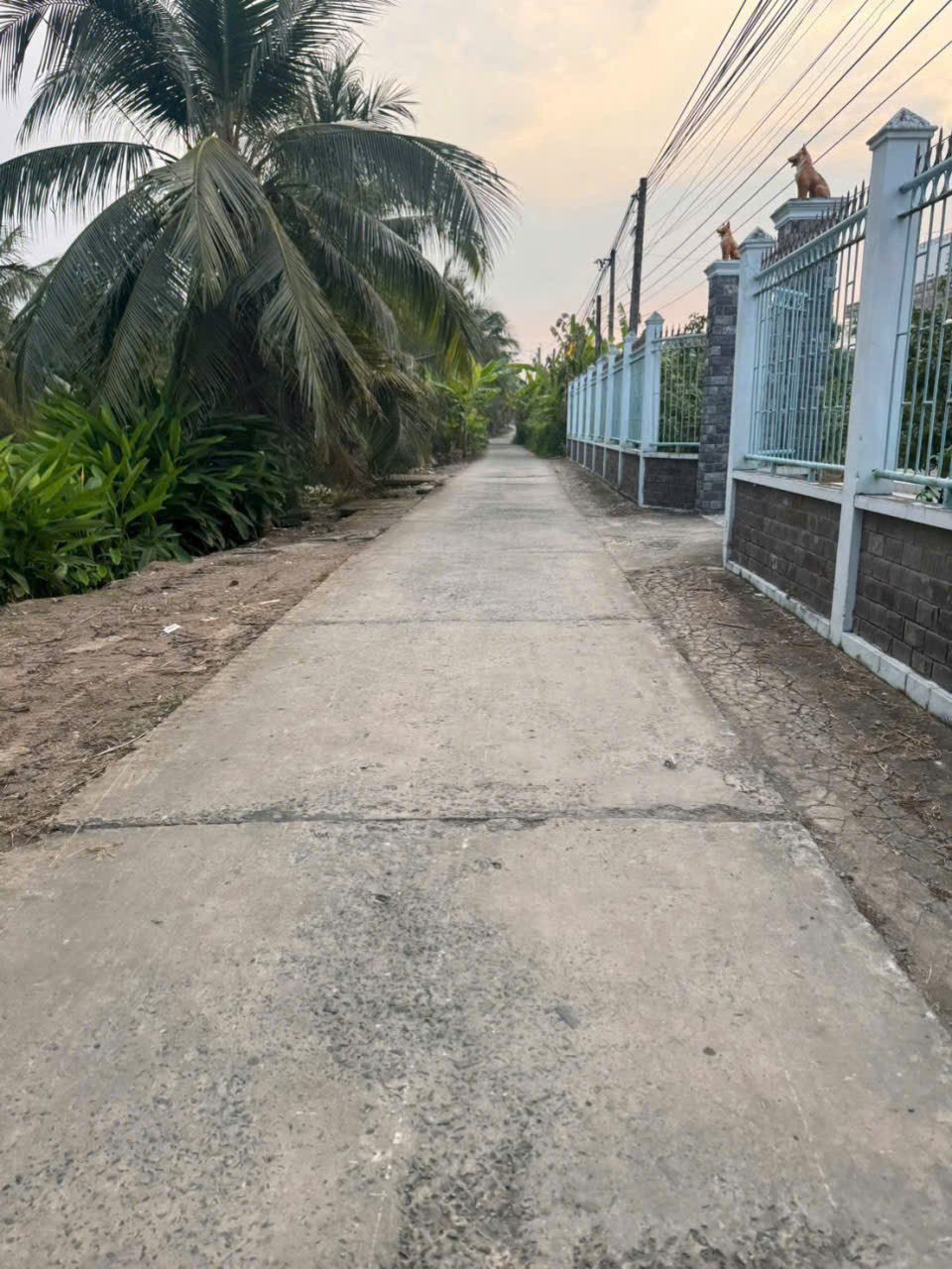 KHU VƯỜN CÂY ĂN TRÁI SUM SÊ. Rộng 1.300m2 Gần khu công nghiệp Tân Hương.