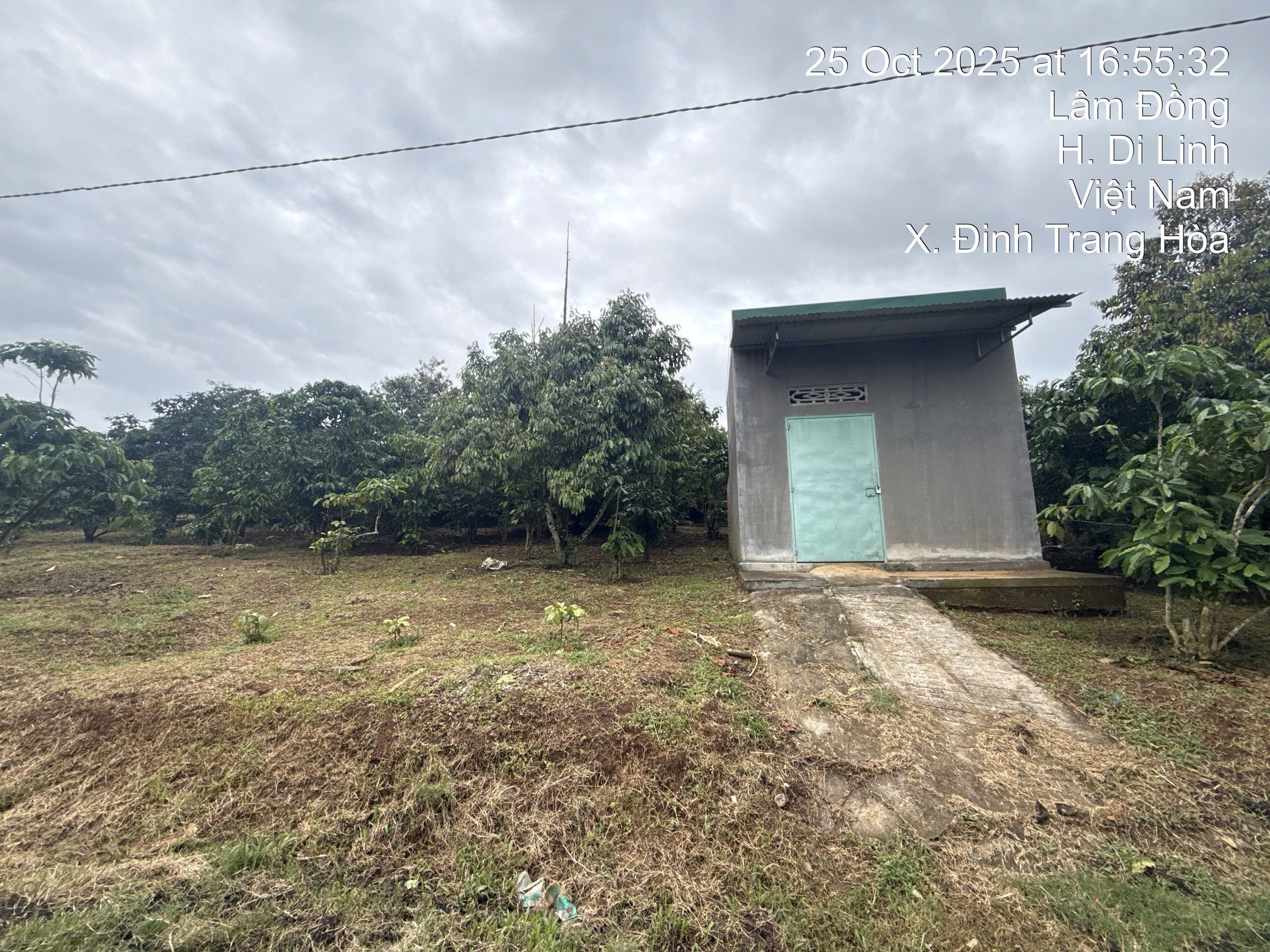 Bán Đất 386m² thổ cư 386m² giá 1.6 tỷ tại Đường Quốc lộ 20 Xã Hòa Ninh Lâm Đồng