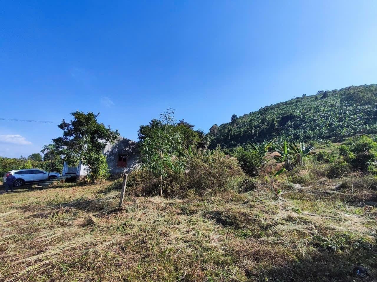⭐️⭐️ 1.24Ha Đất sát KDL sinh thái hồ Trị An – Quốc Lộ 20 Đồng Nai