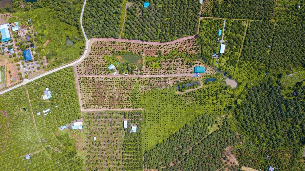 🌿 SỞ HỮU ĐẤT VƯỜN 1059m² CHỈ 6XX – CÓ SẴN CÂY ĂN TRÁI –GẦN KCN ĐỊNH QUÁN, VIEW HỒ TRỊ AN  🌿