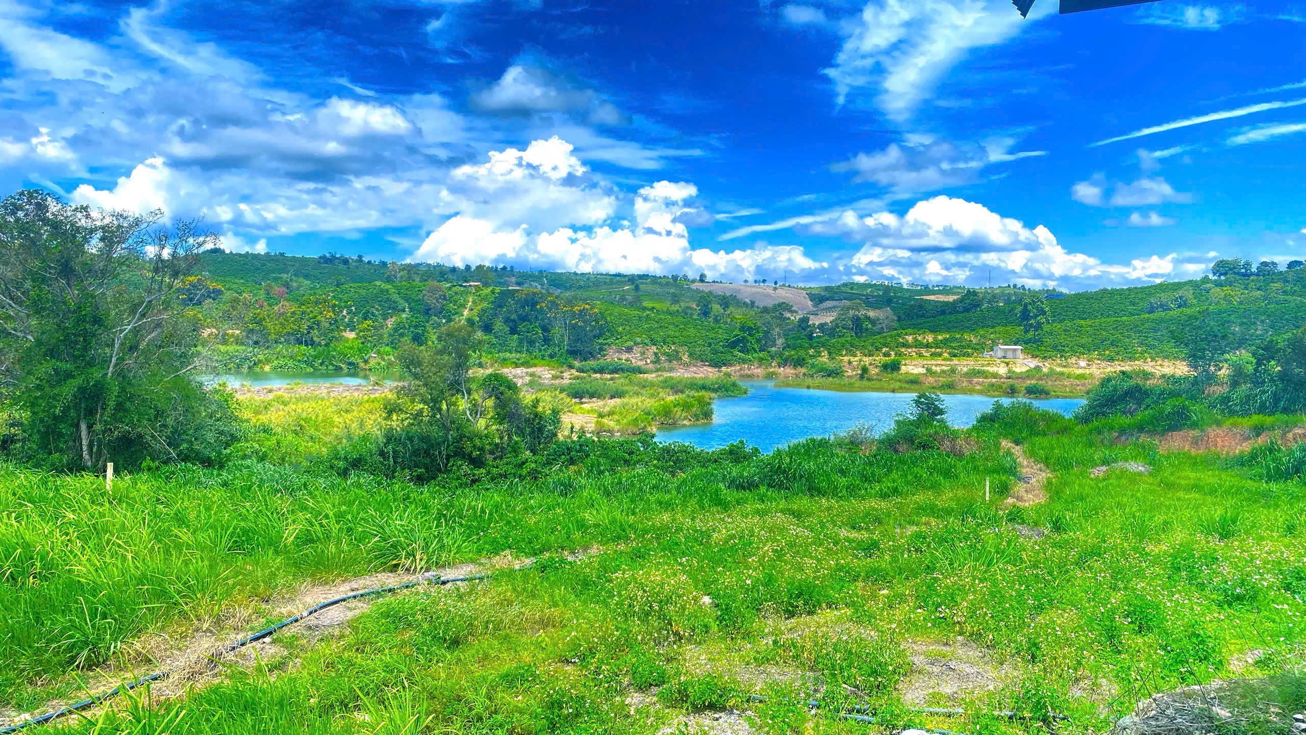 1,3 ha ( 13.000m2 ) mà giá chỉ 3,5 tỷ - phú hội cũ, đức trọng, lâm đồng