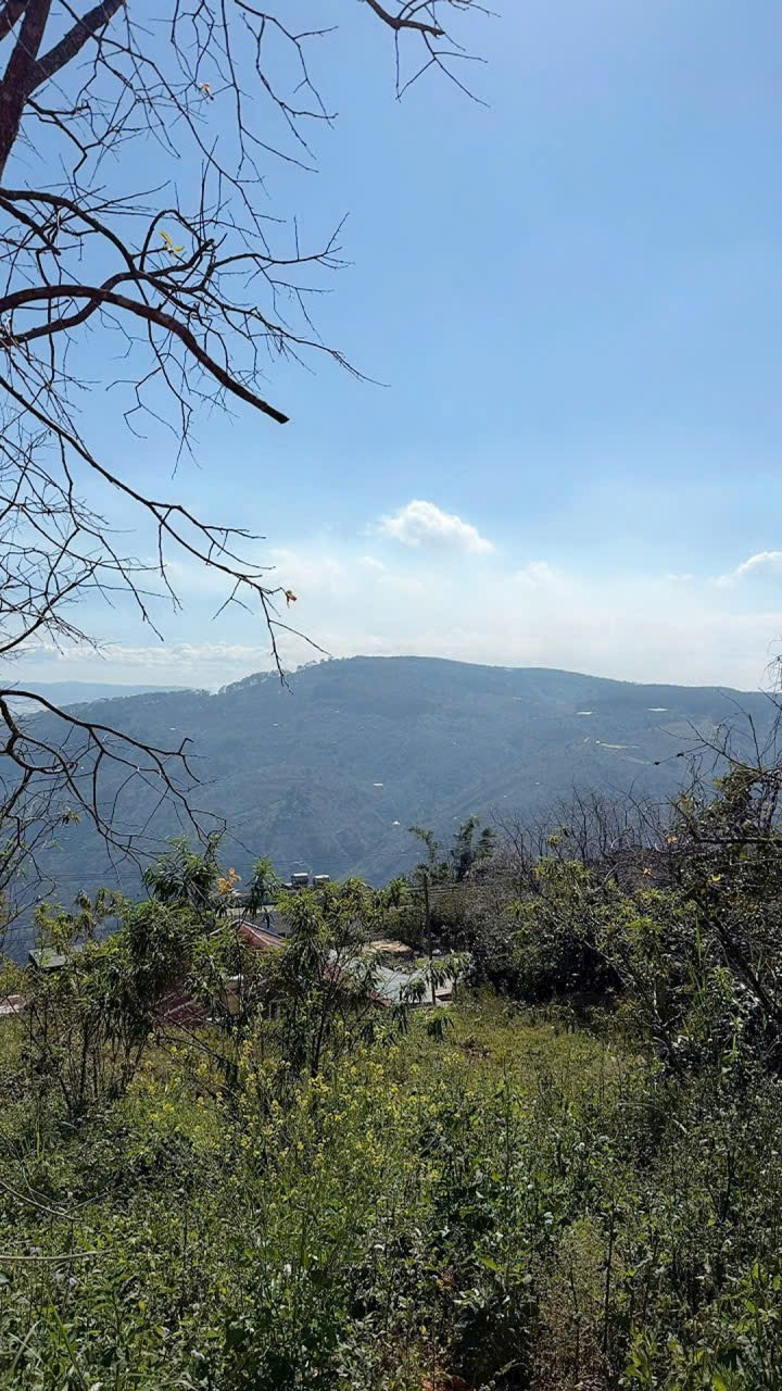 Lô đất nghỉ dưỡng 1000m Xuân Trường- Đà Lạt có 400m thổ cư🔥10 tỷ có view rừng thông giá đầu tư